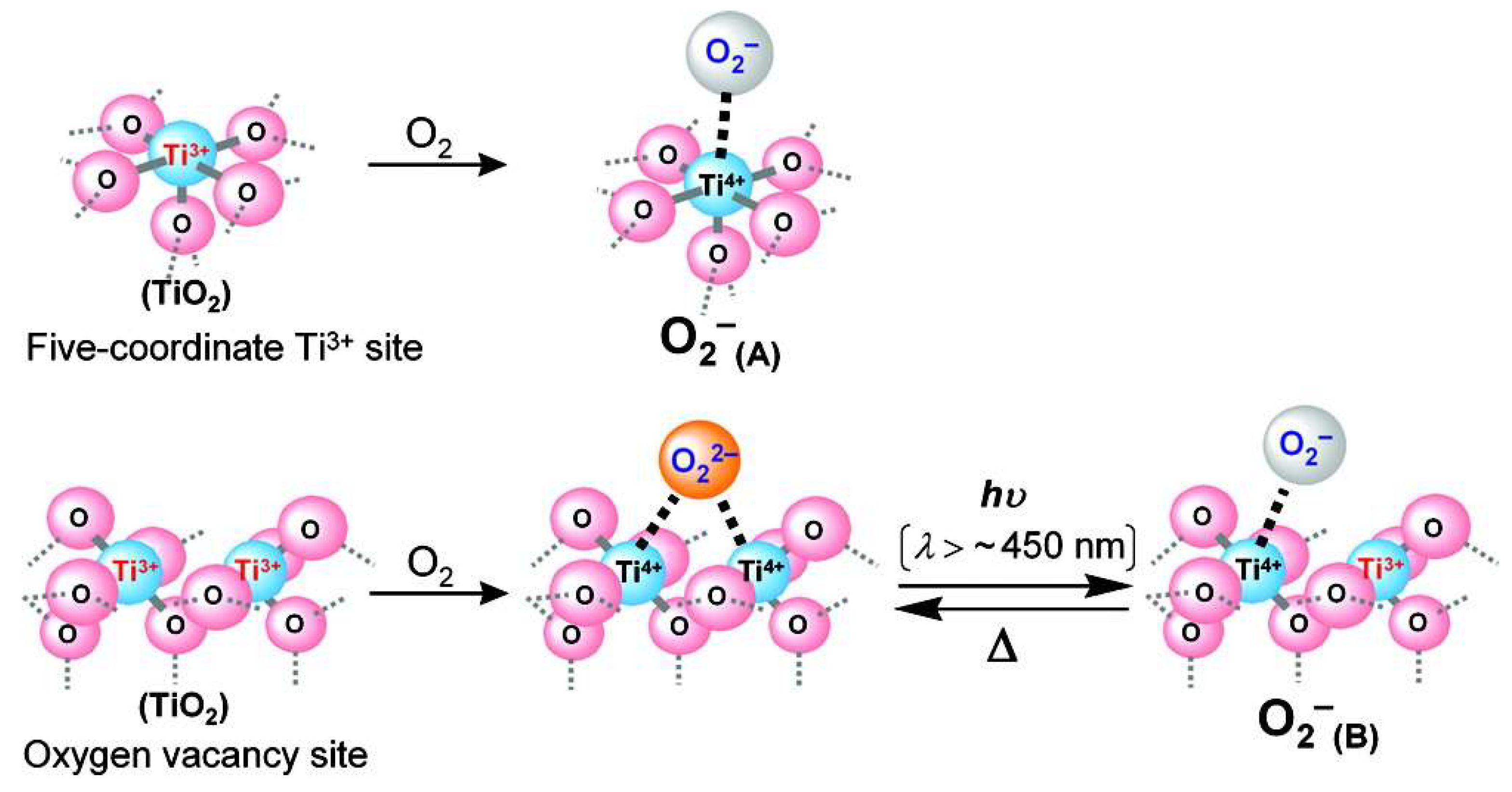 Catalysts 08 00601 g018