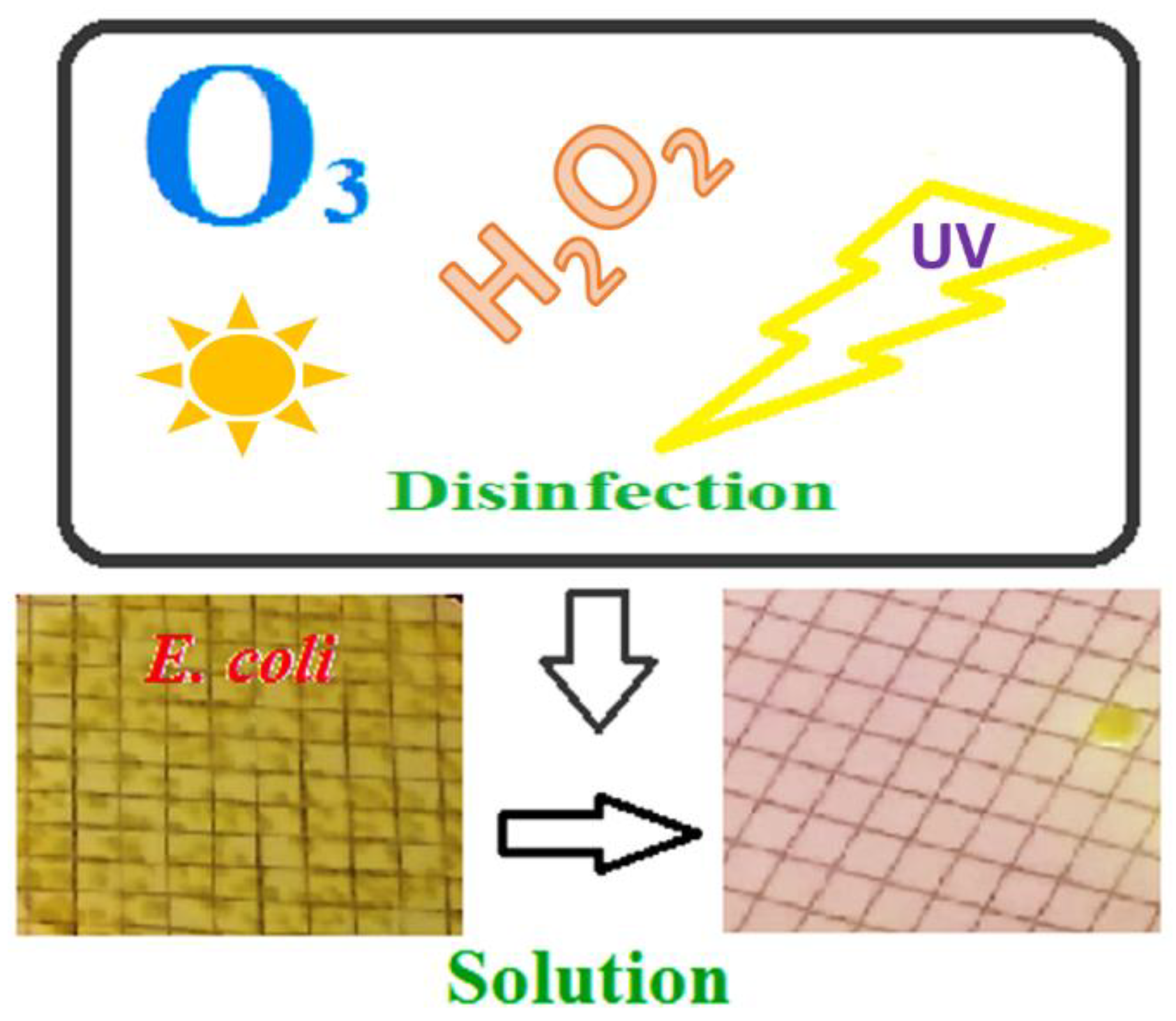 Catalysts 09 00046 g003