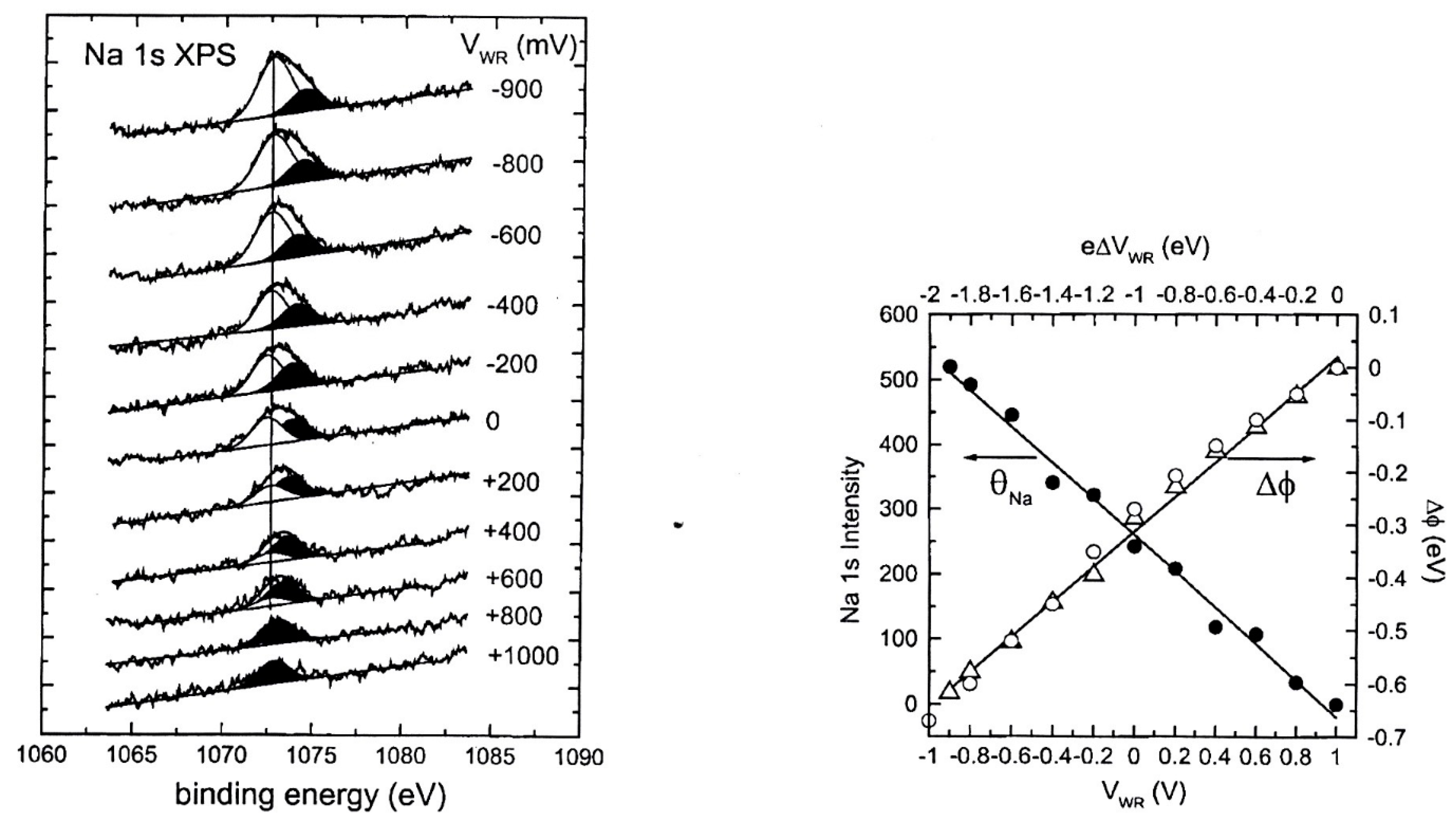 Catalysts 09 00157 g024