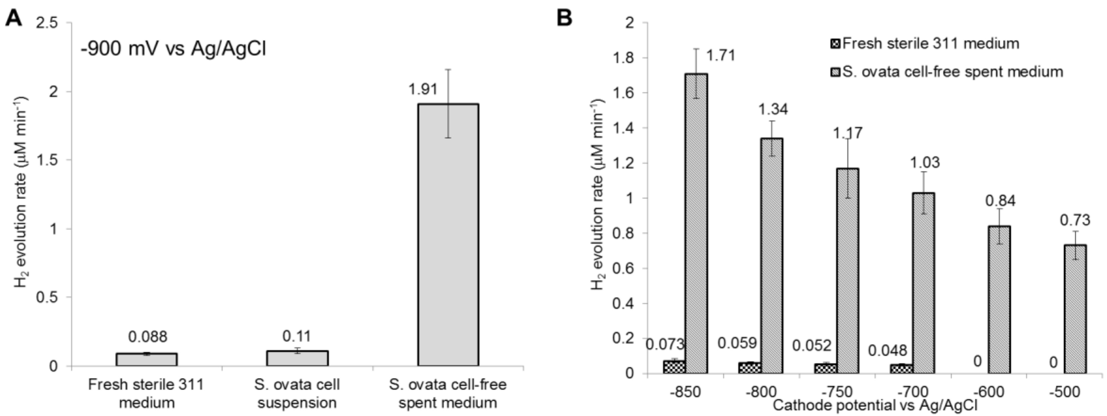 Catalysts 09 00166 g004