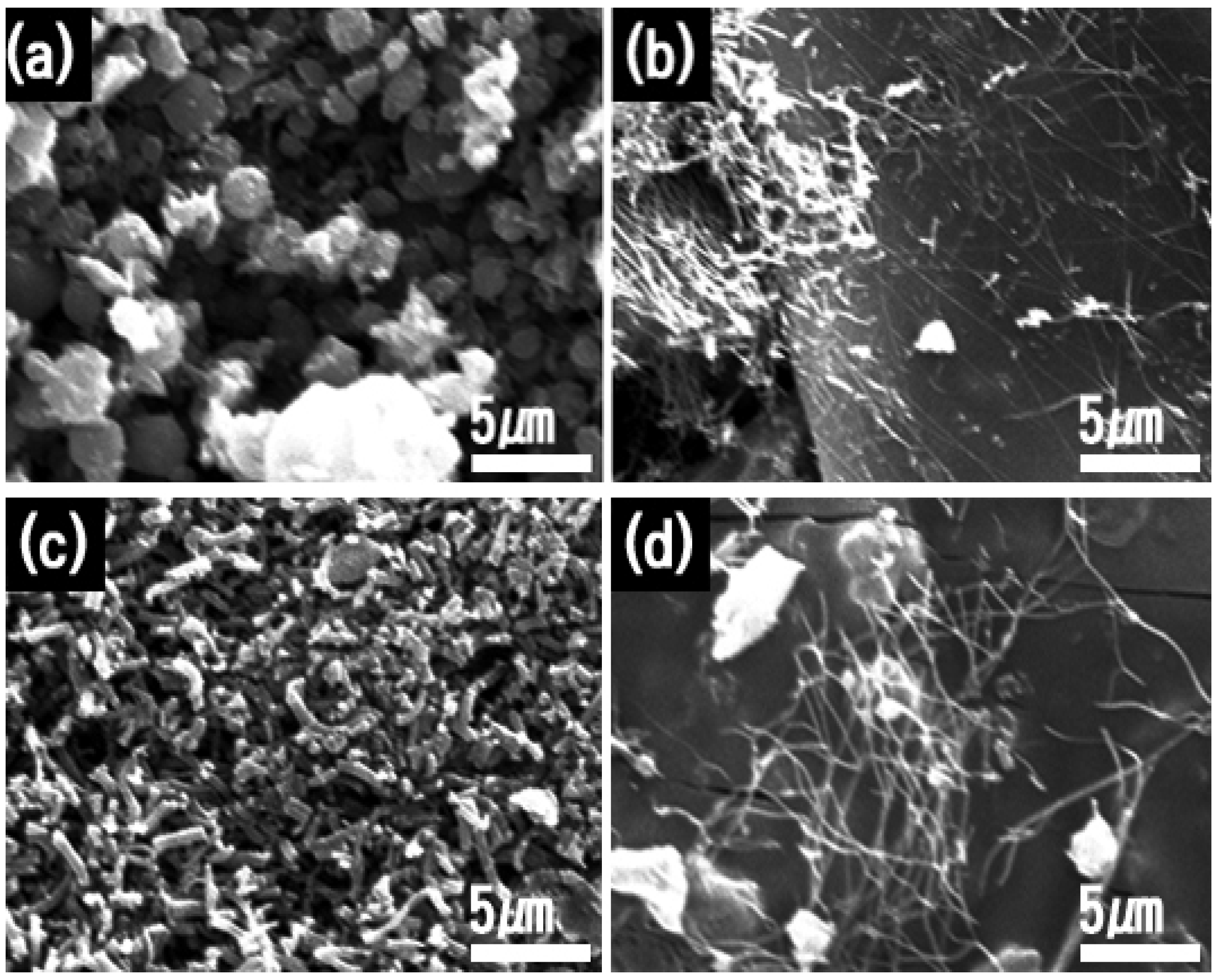 Catalysts 09 00170 g002