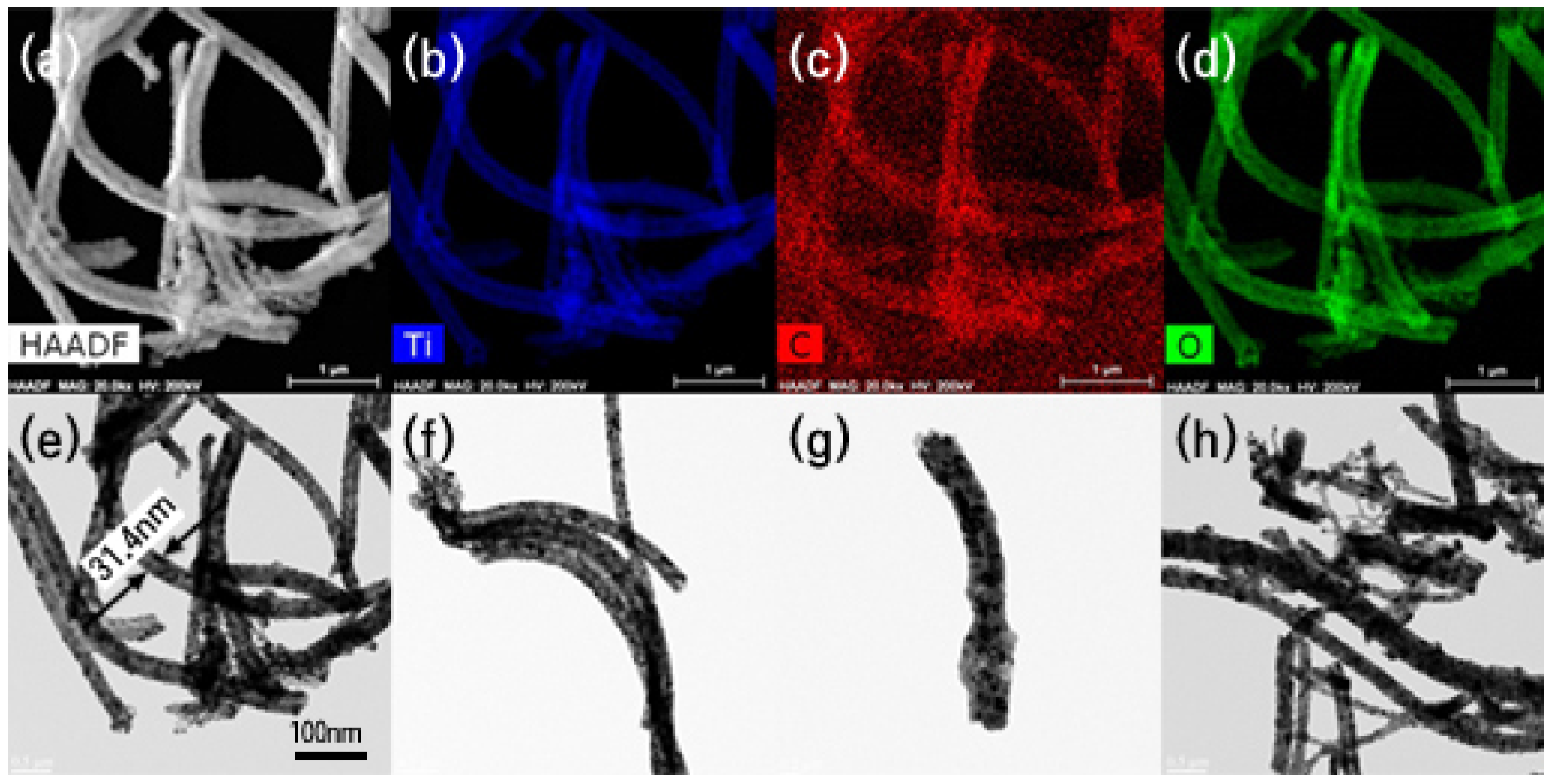 Catalysts 09 00170 g005