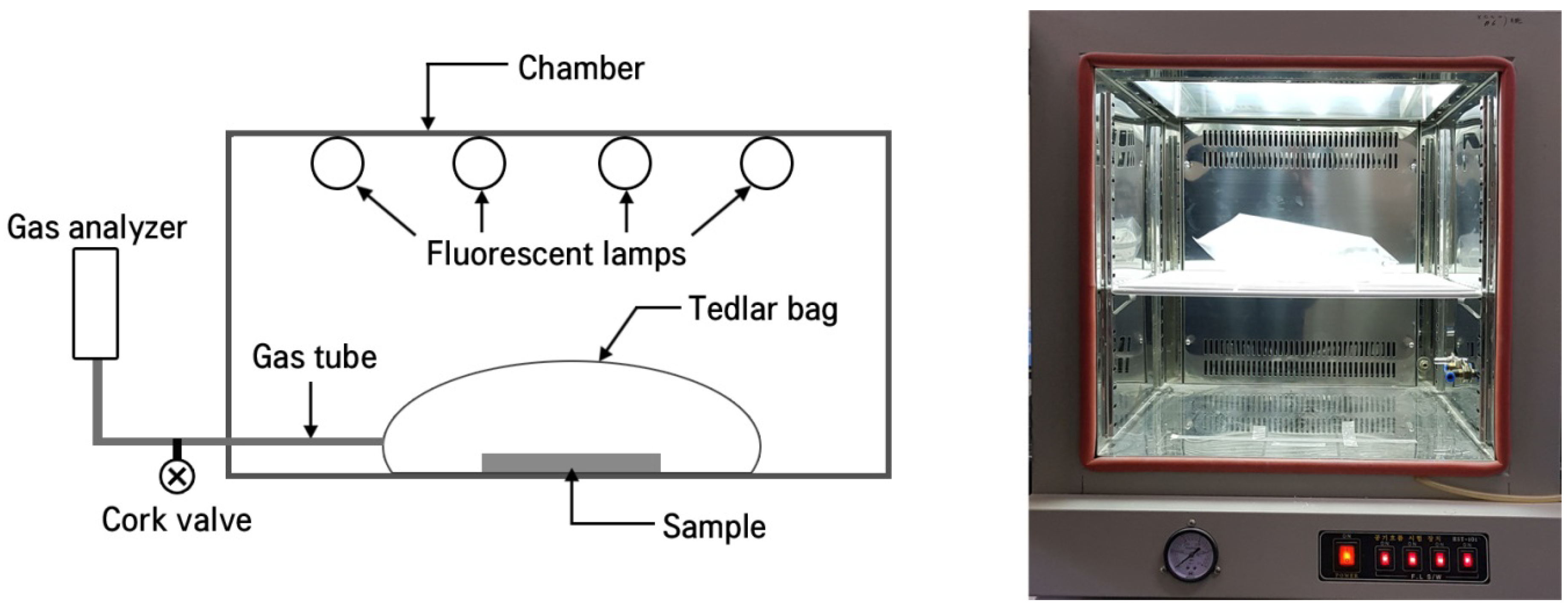 Catalysts 09 00170 sch003