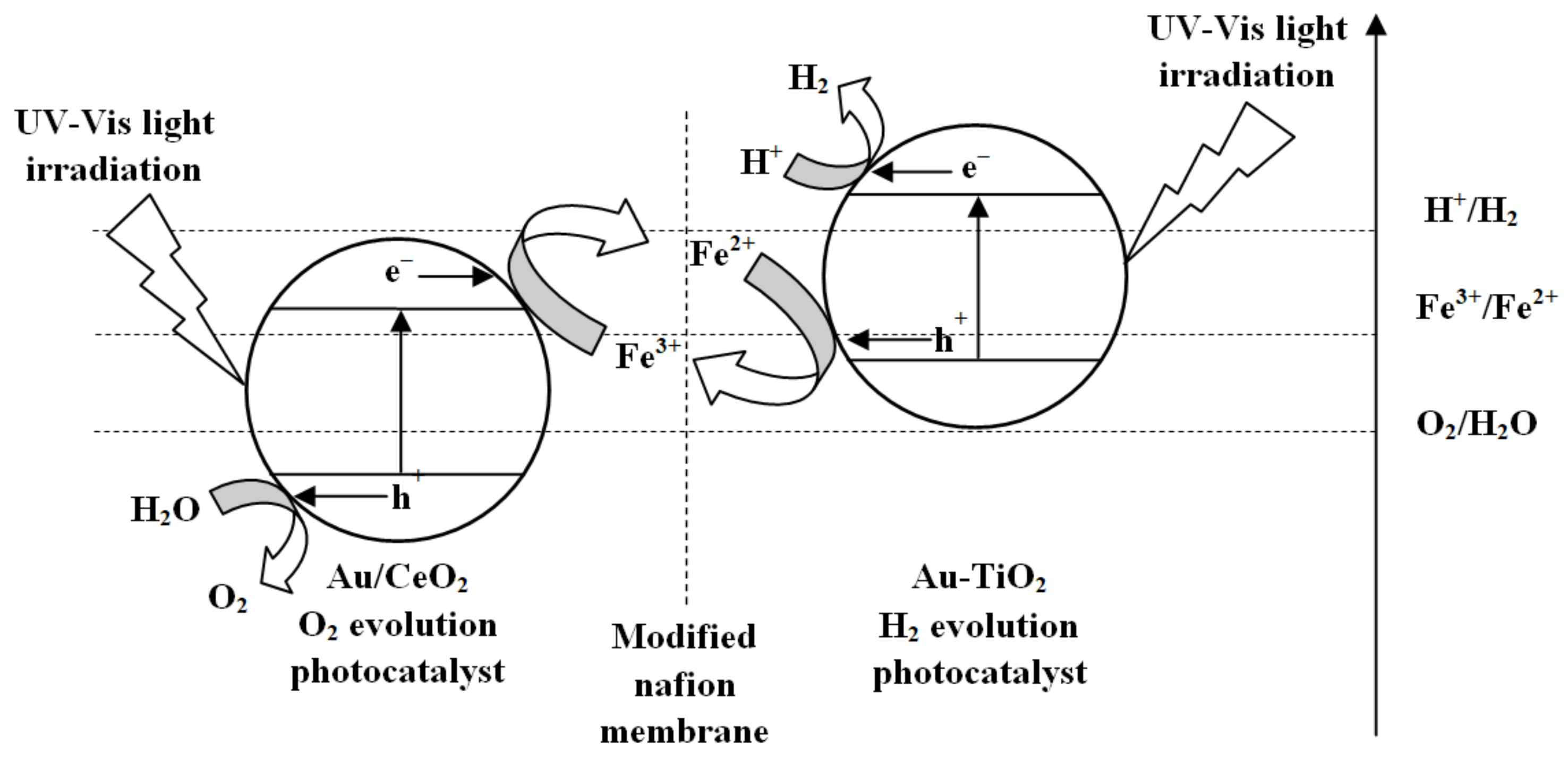 Catalysts 09 00239 g004
