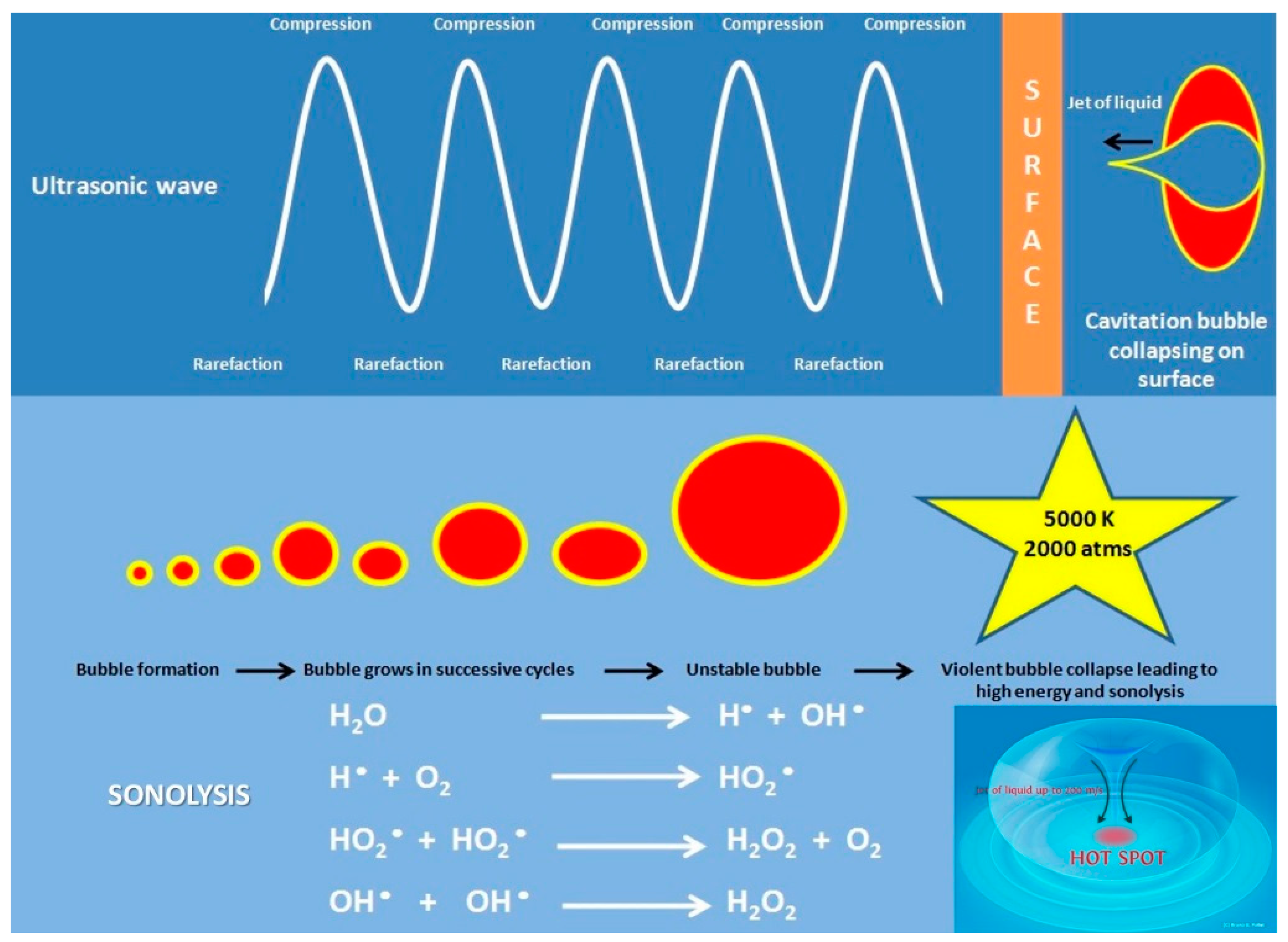 Catalysts 09 00246 g002