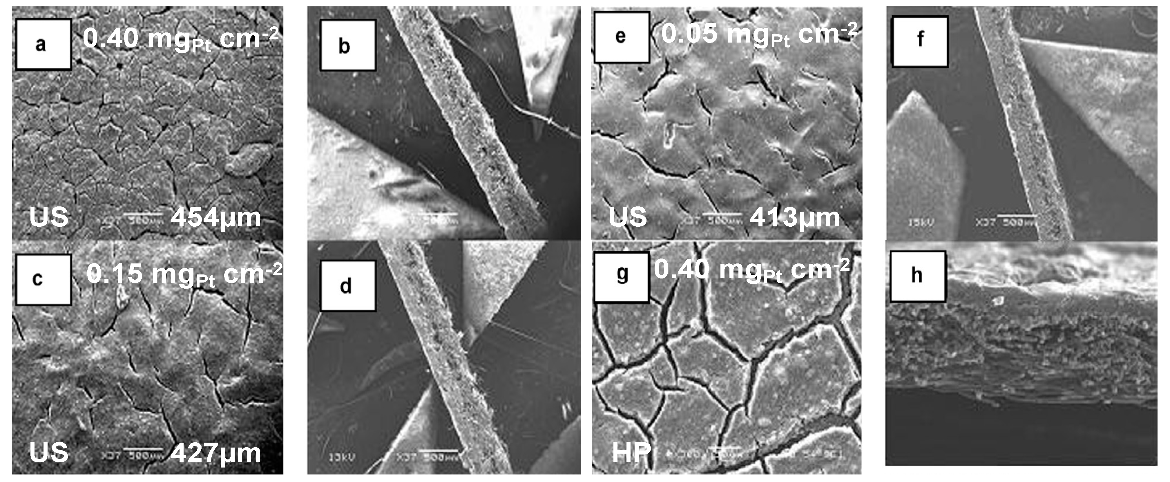 Catalysts 09 00246 g016