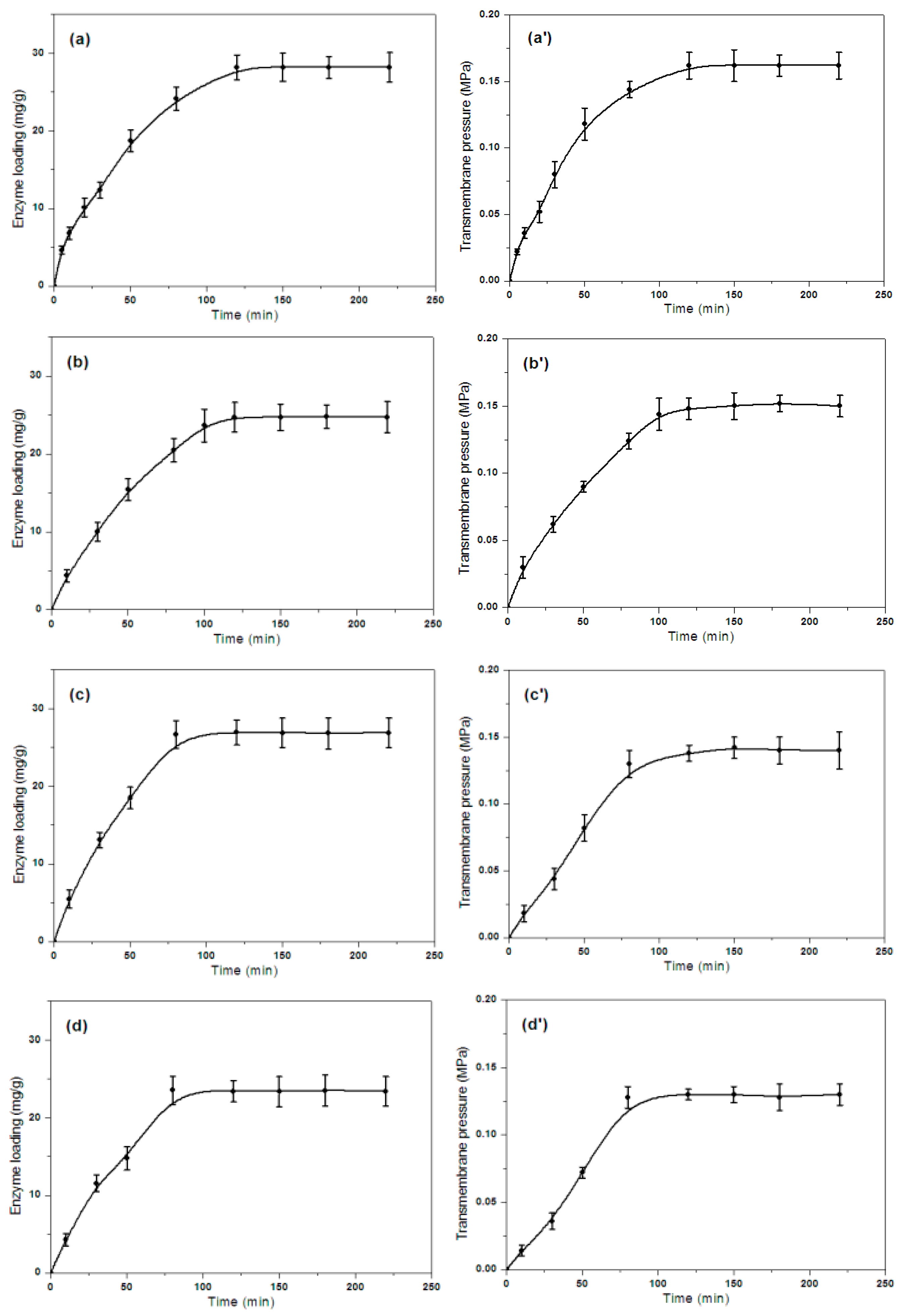Catalysts 09 00495 g001