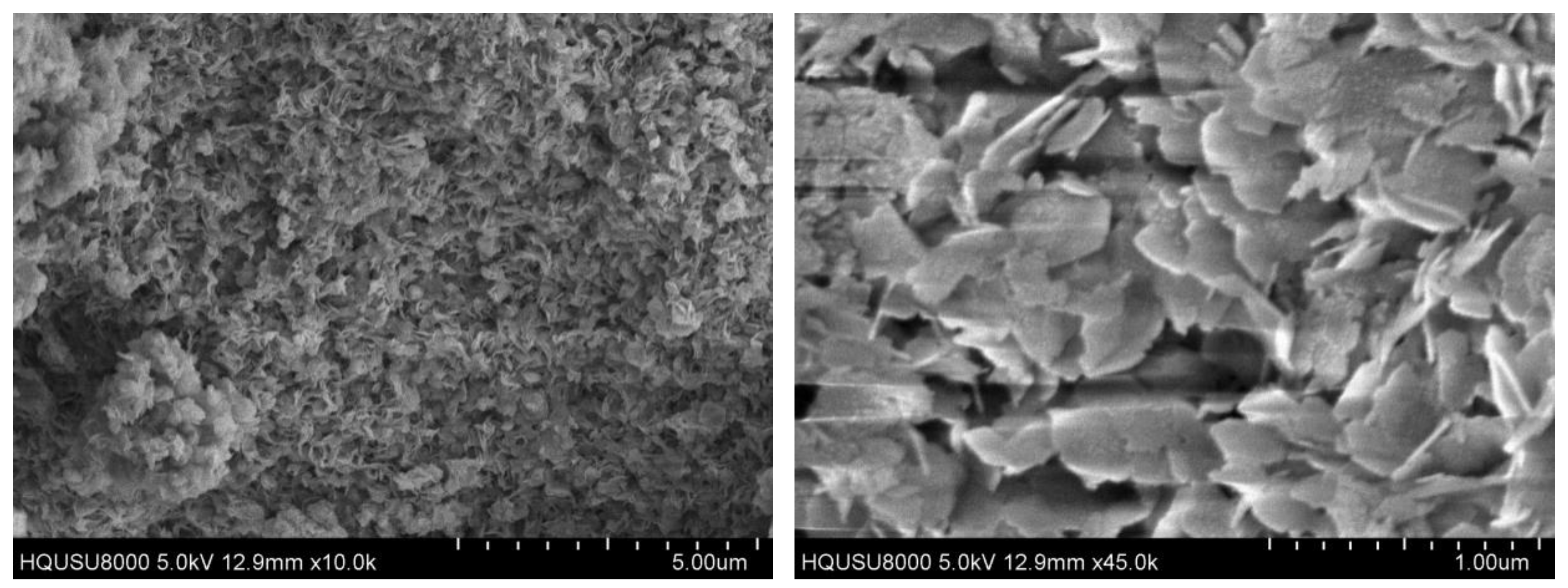 Catalysts 09 00742 g006