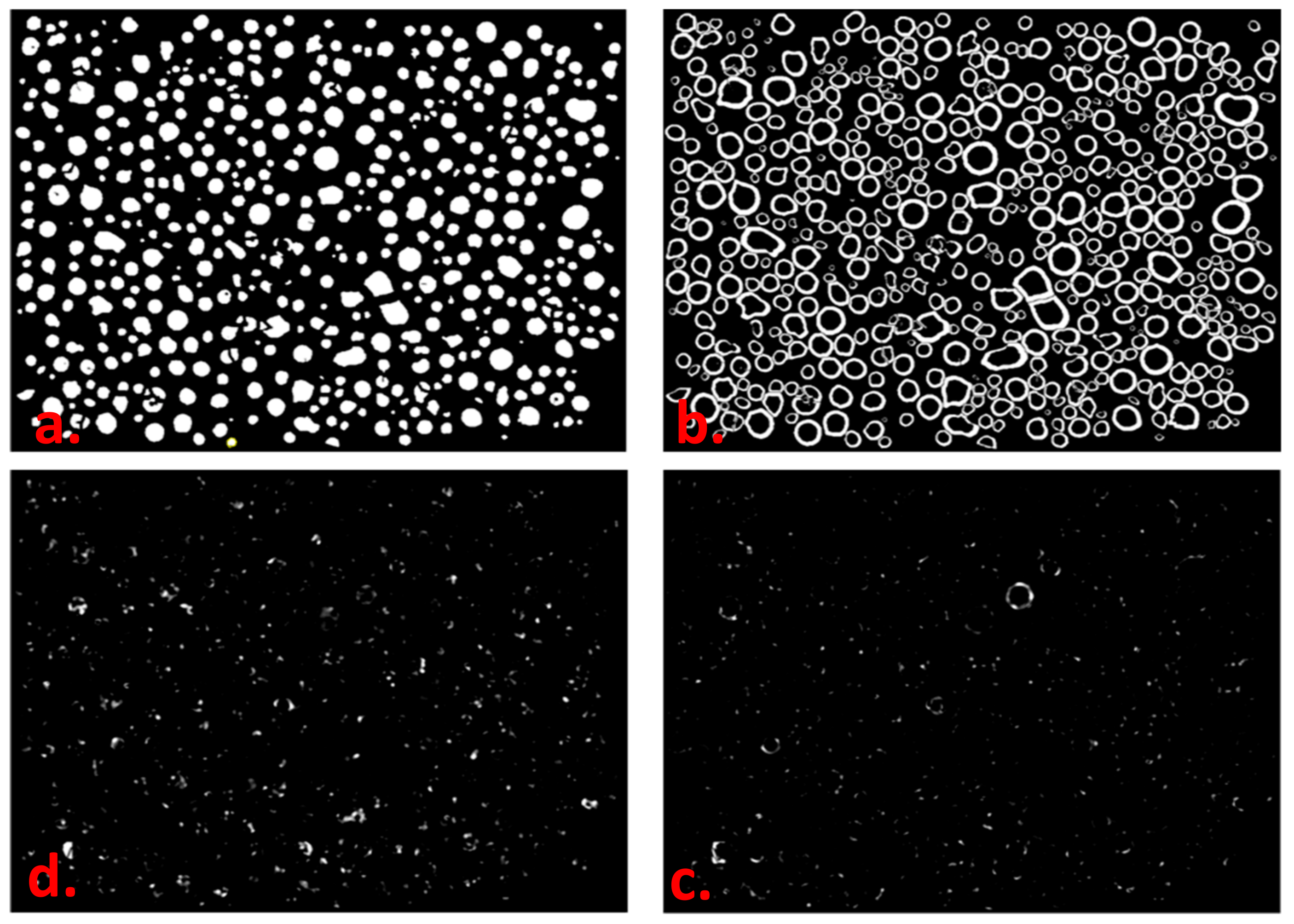 Catalysts 09 00831 g005
