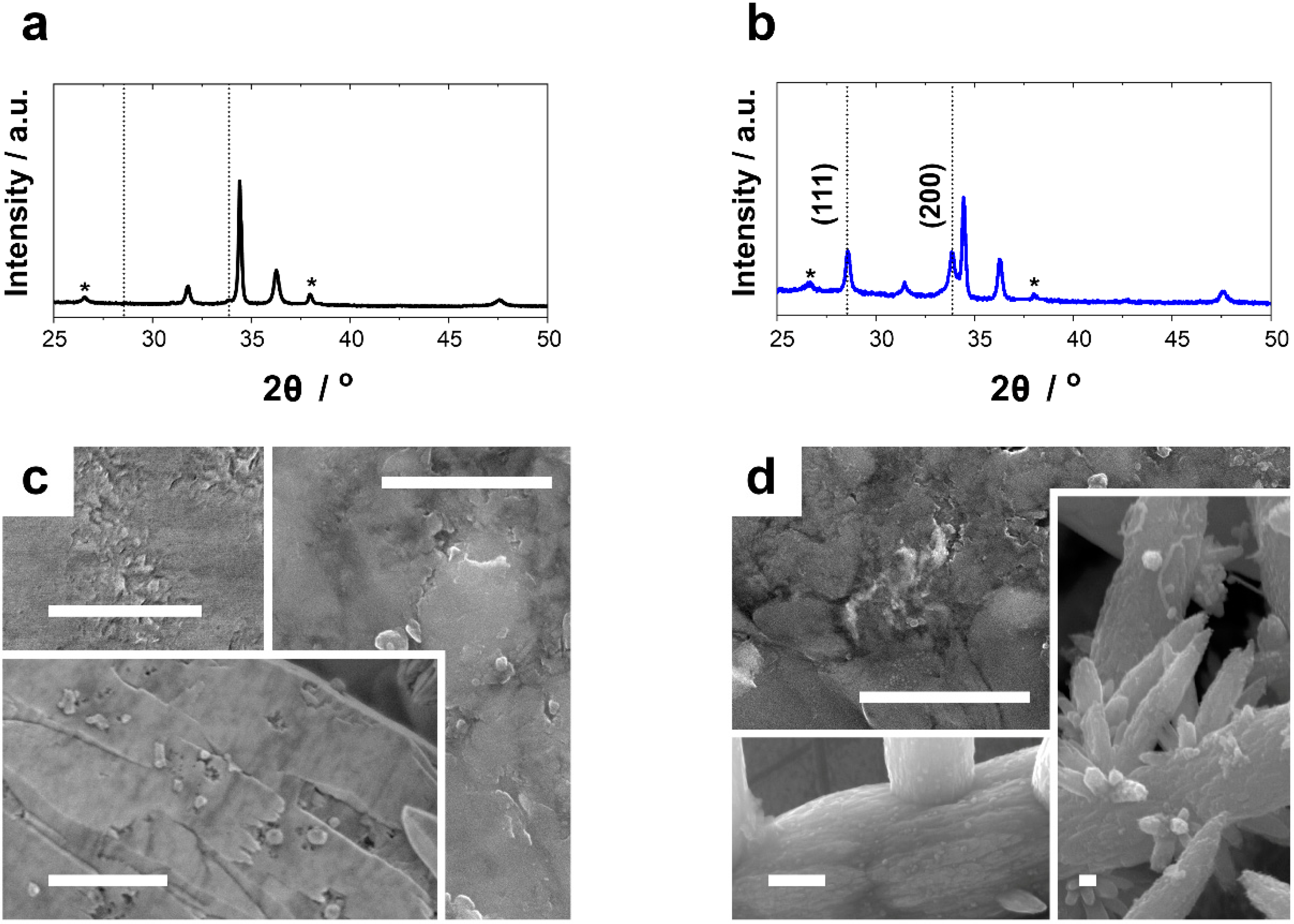 Catalysts 09 00974 g002