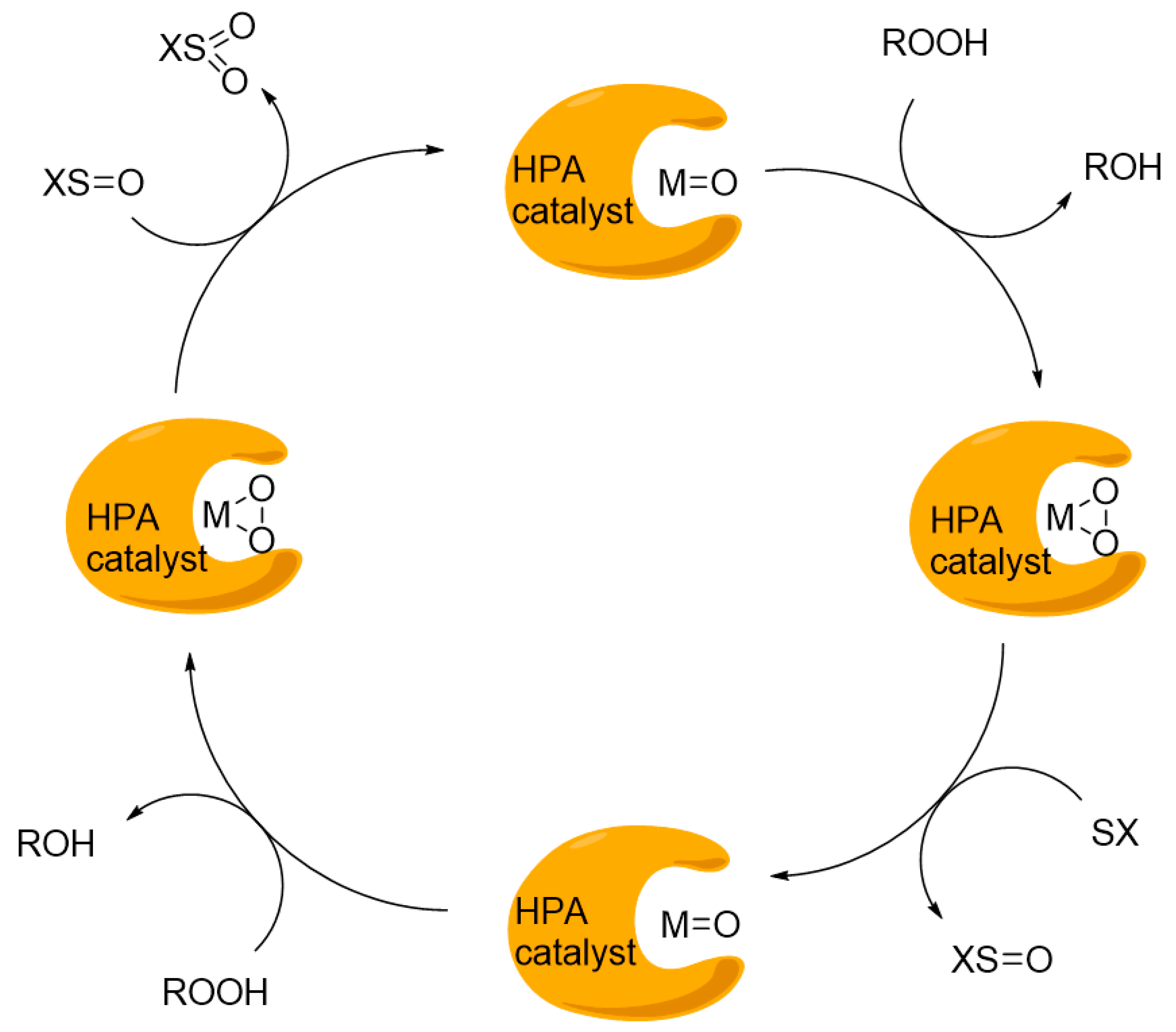 Catalysts 09 00984 g010