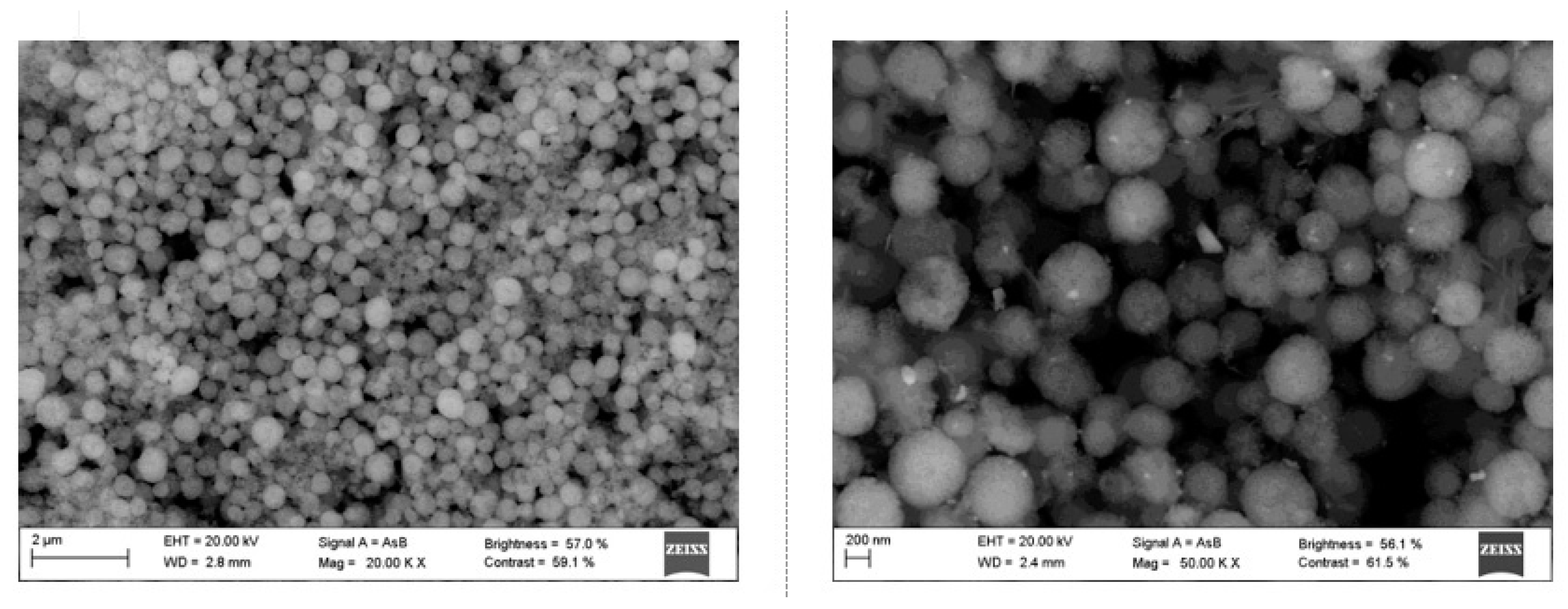 Catalysts 10 00031 g003