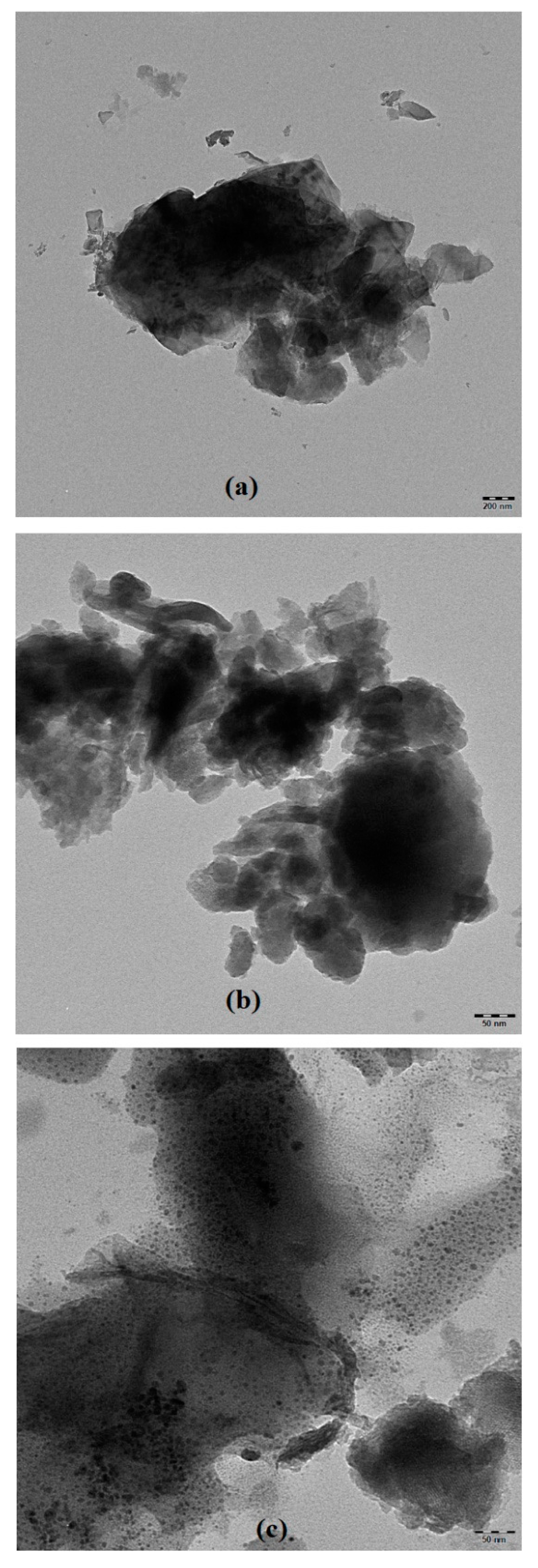 Catalysts 10 00604 g004