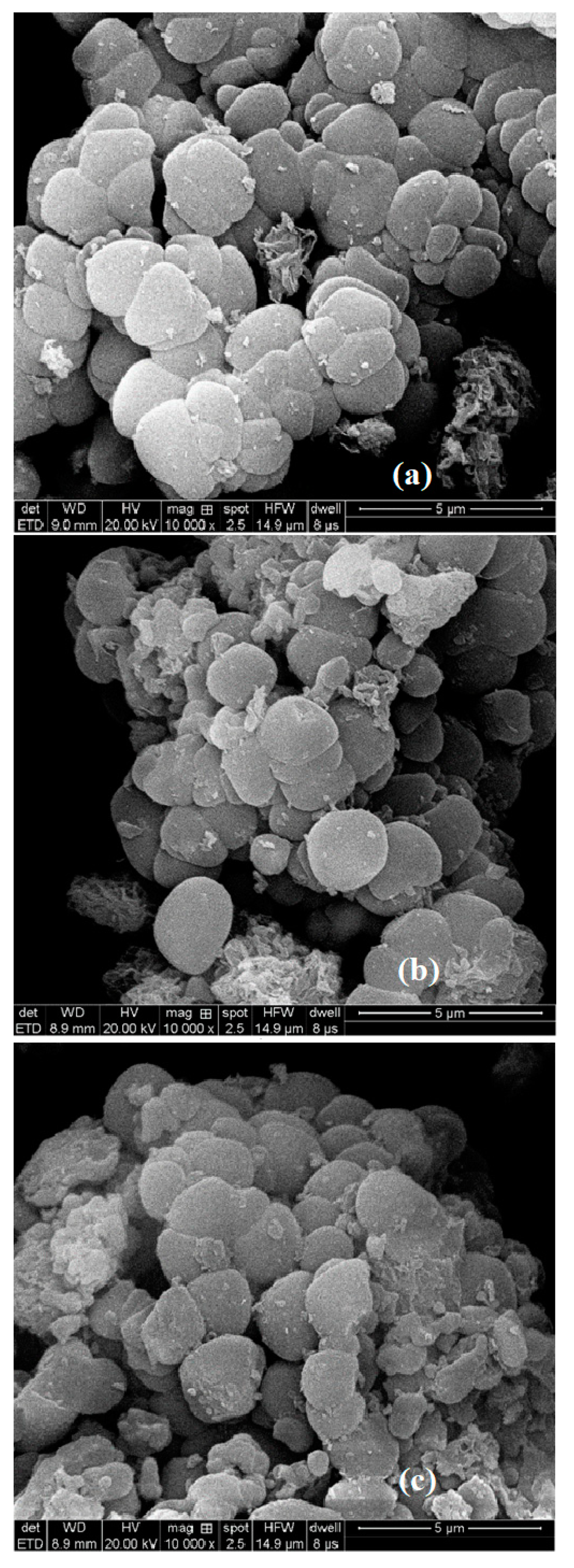 Catalysts 10 00604 g005
