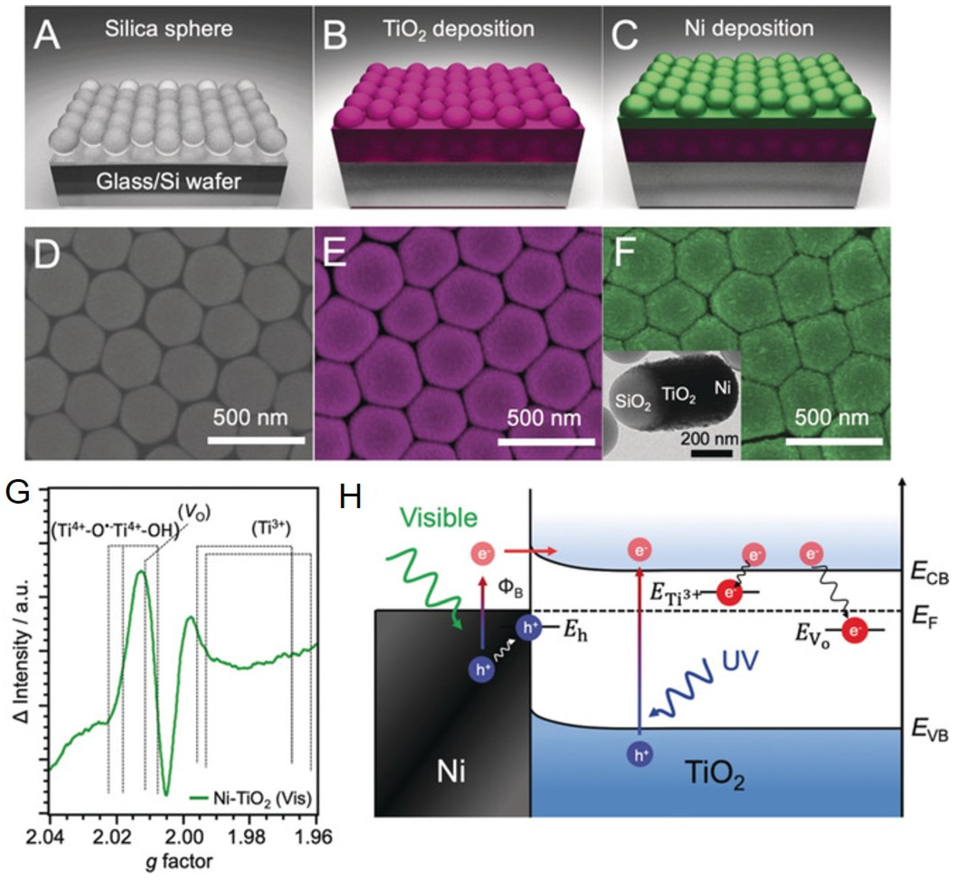 Catalysts 10 00679 g004