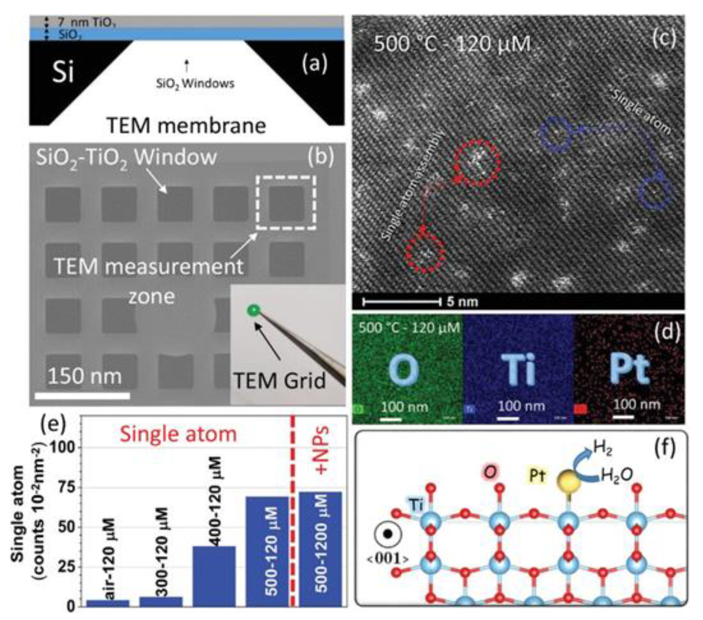 Catalysts 10 00679 g005