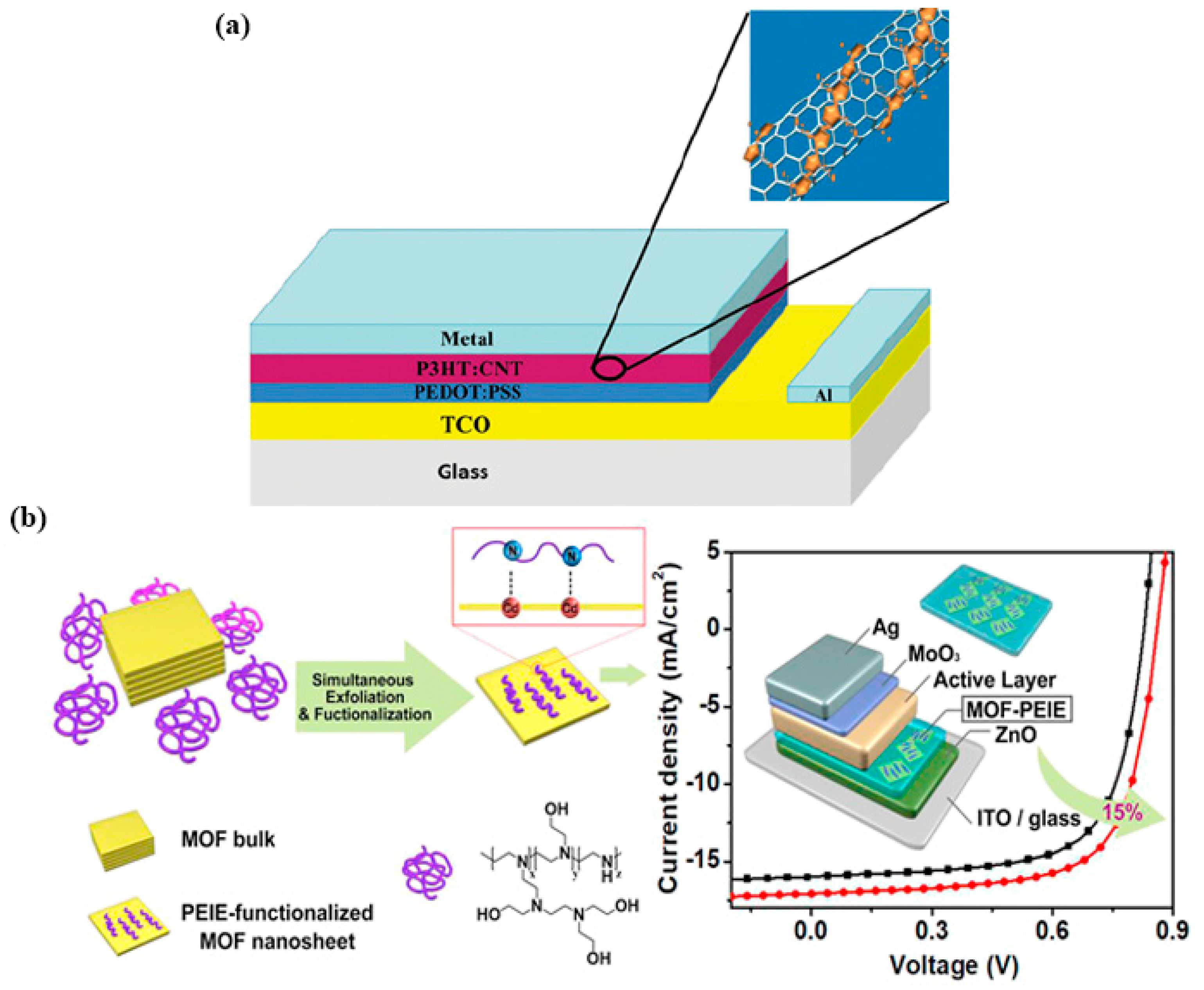 Catalysts 10 00897 g005