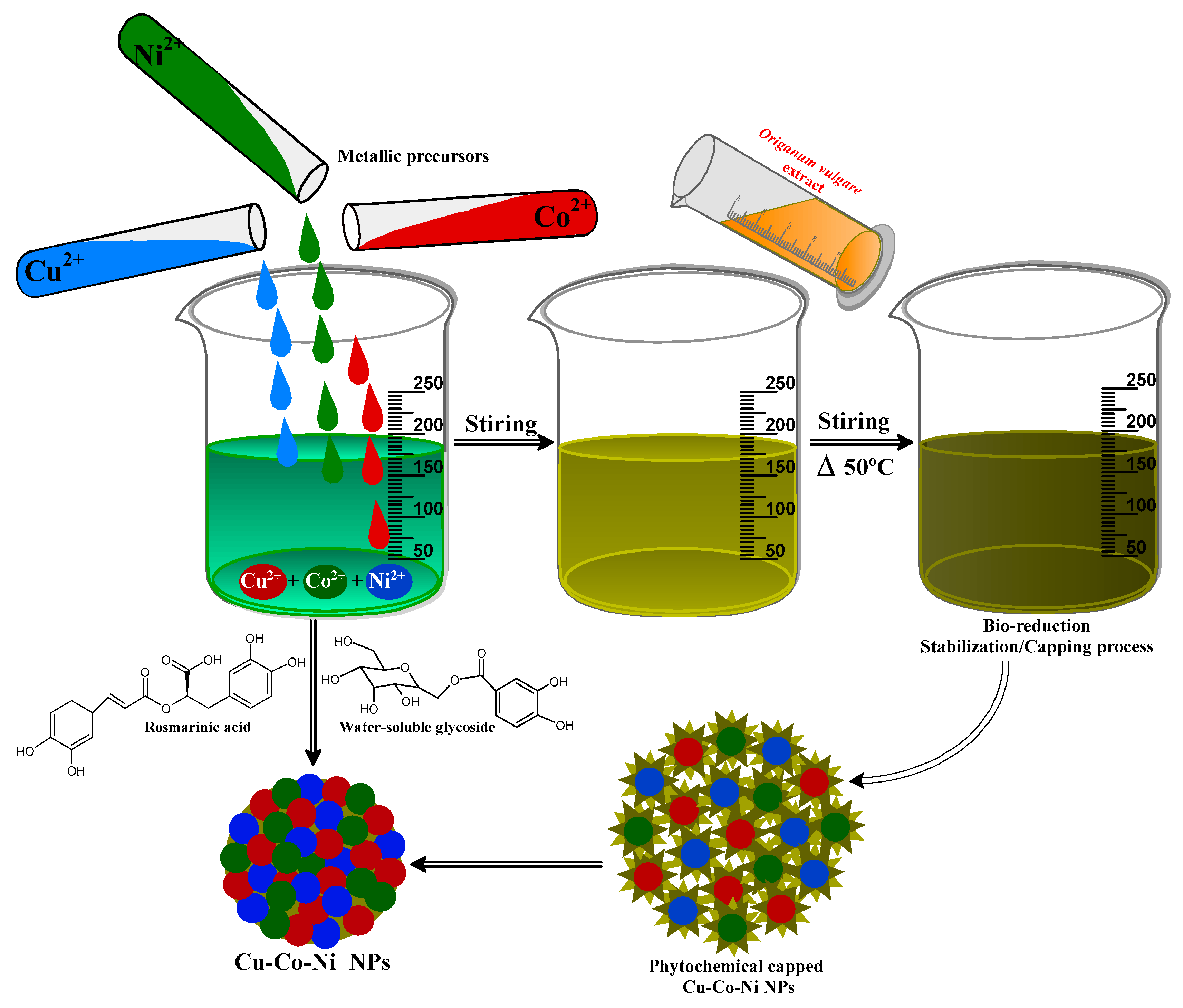 Catalysts 10 01138 g002