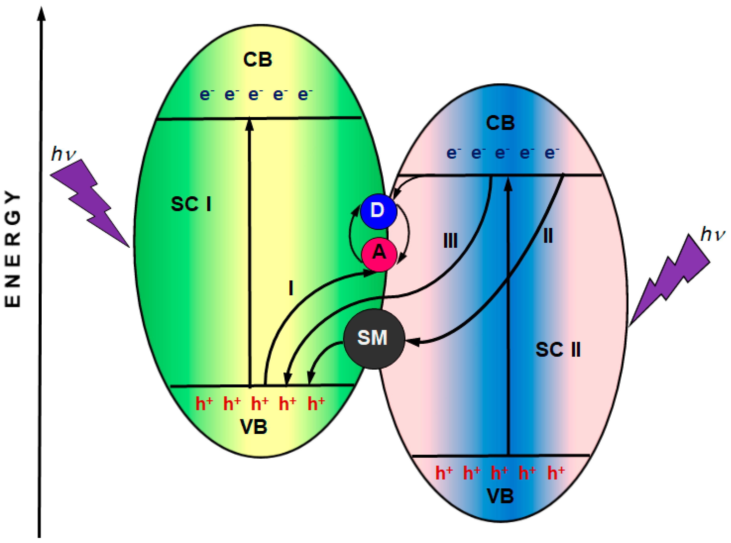 Catalysts 10 01435 g006 Catalysts 10 01435 g006