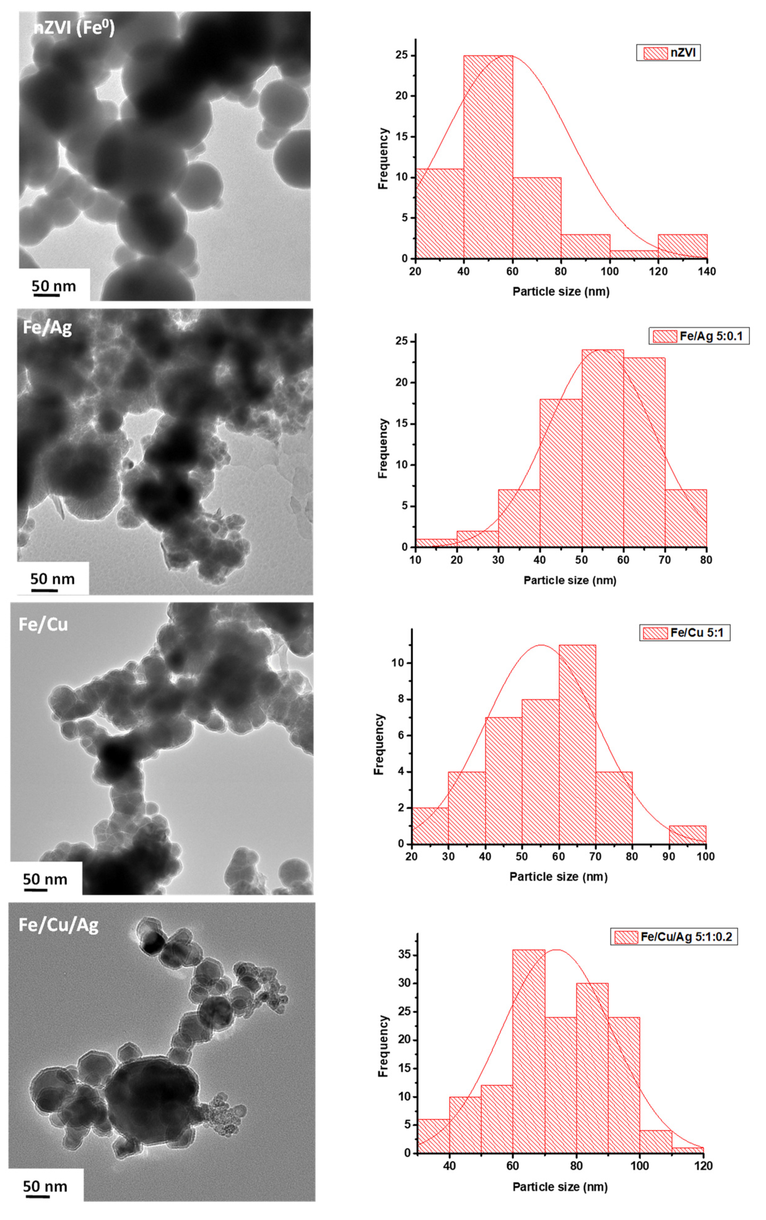 Catalysts 11 00428 g004