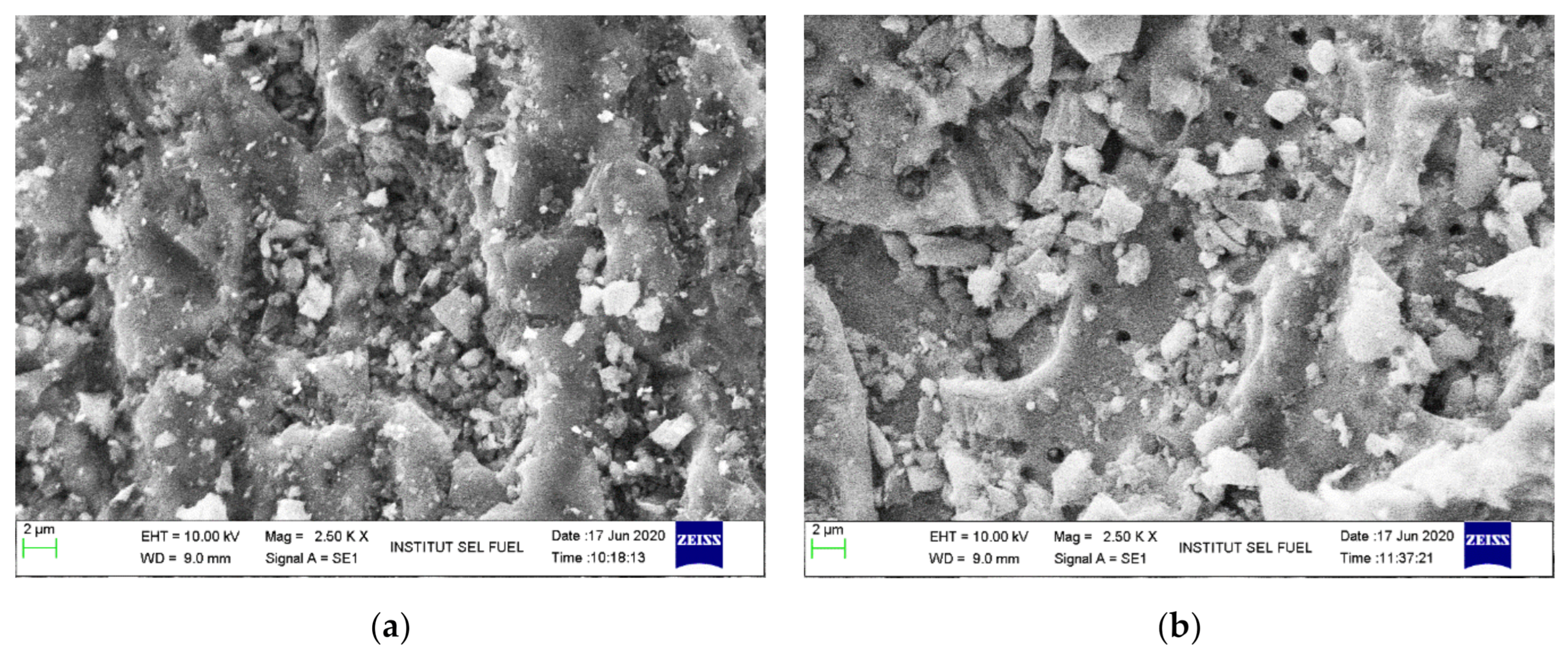 Catalysts 11 00545 g011