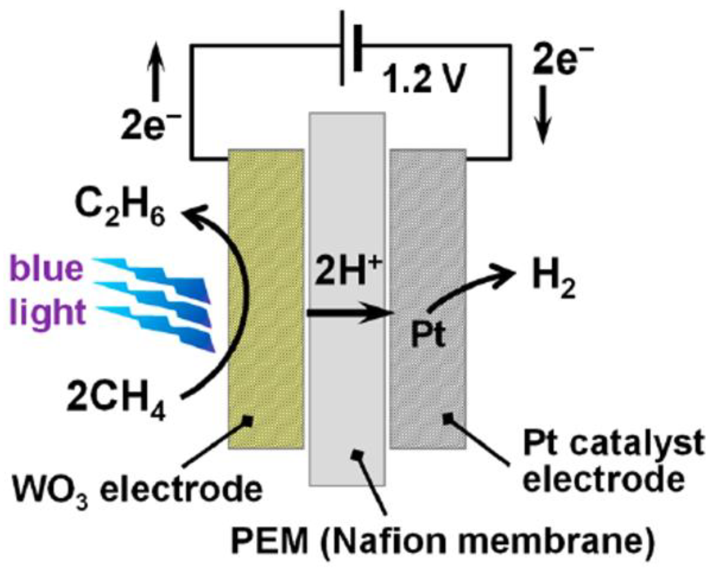 Catalysts 11 01387 g005