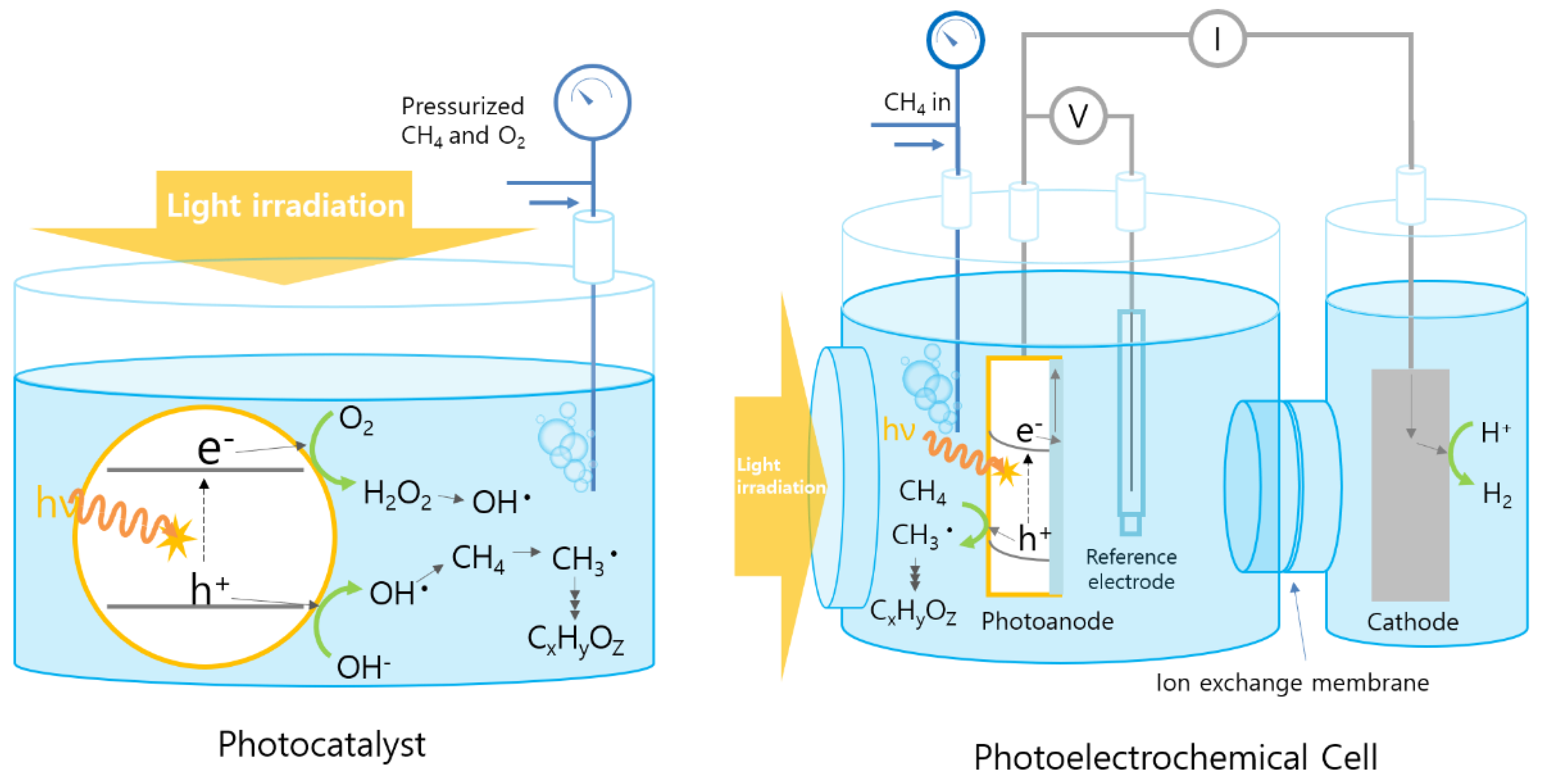 Catalysts 11 01387 g006