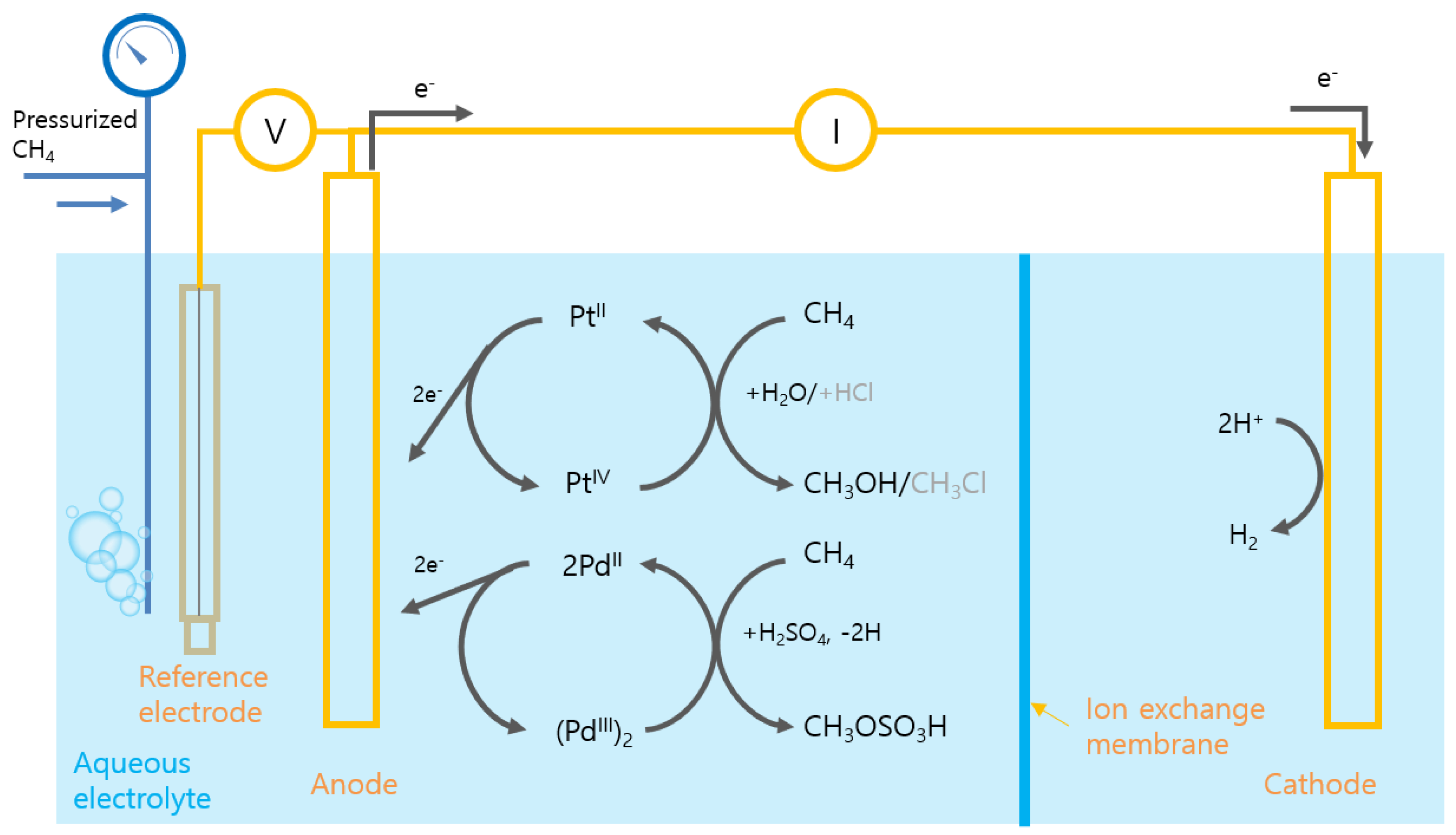 Catalysts 11 01387 g009
