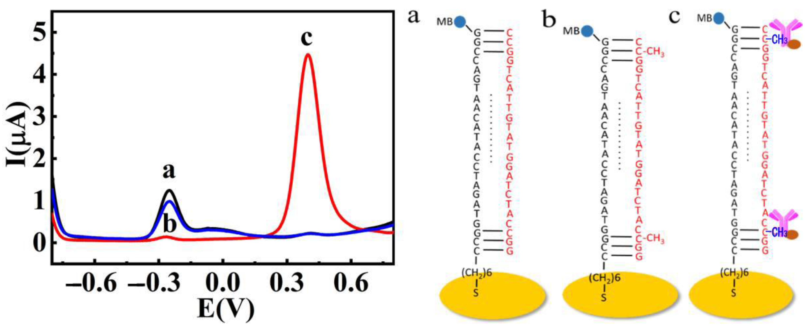 Catalysts 12 01362 g001