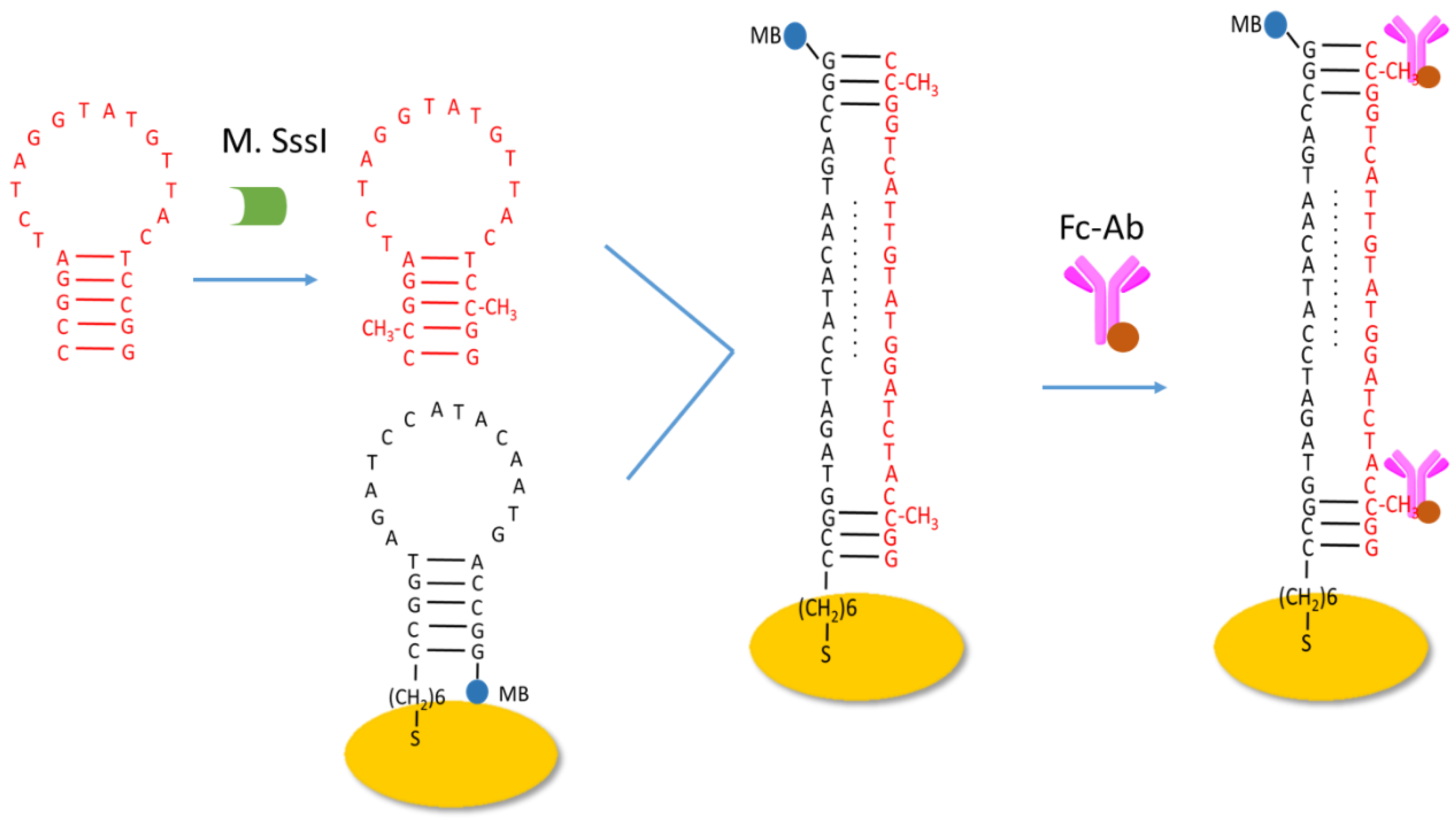 Catalysts 12 01362 sch001