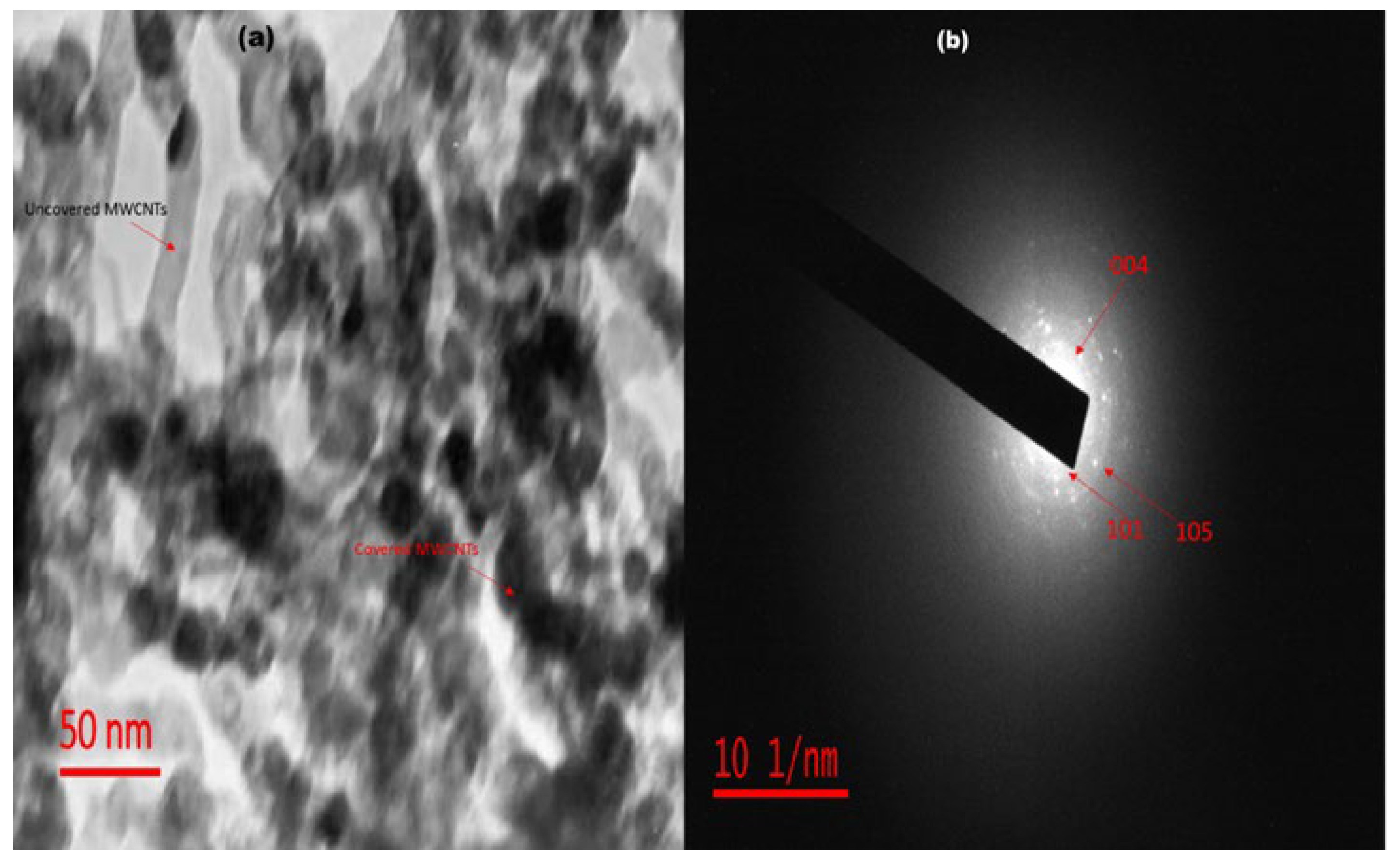 Catalysts 13 00086 g003 Catalysts 13 00086 g003