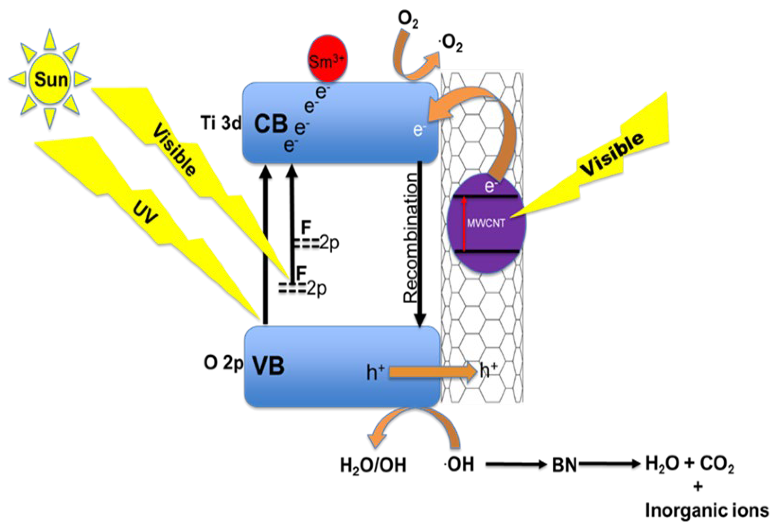 Catalysts 13 00086 g006 Catalysts 13 00086 g006