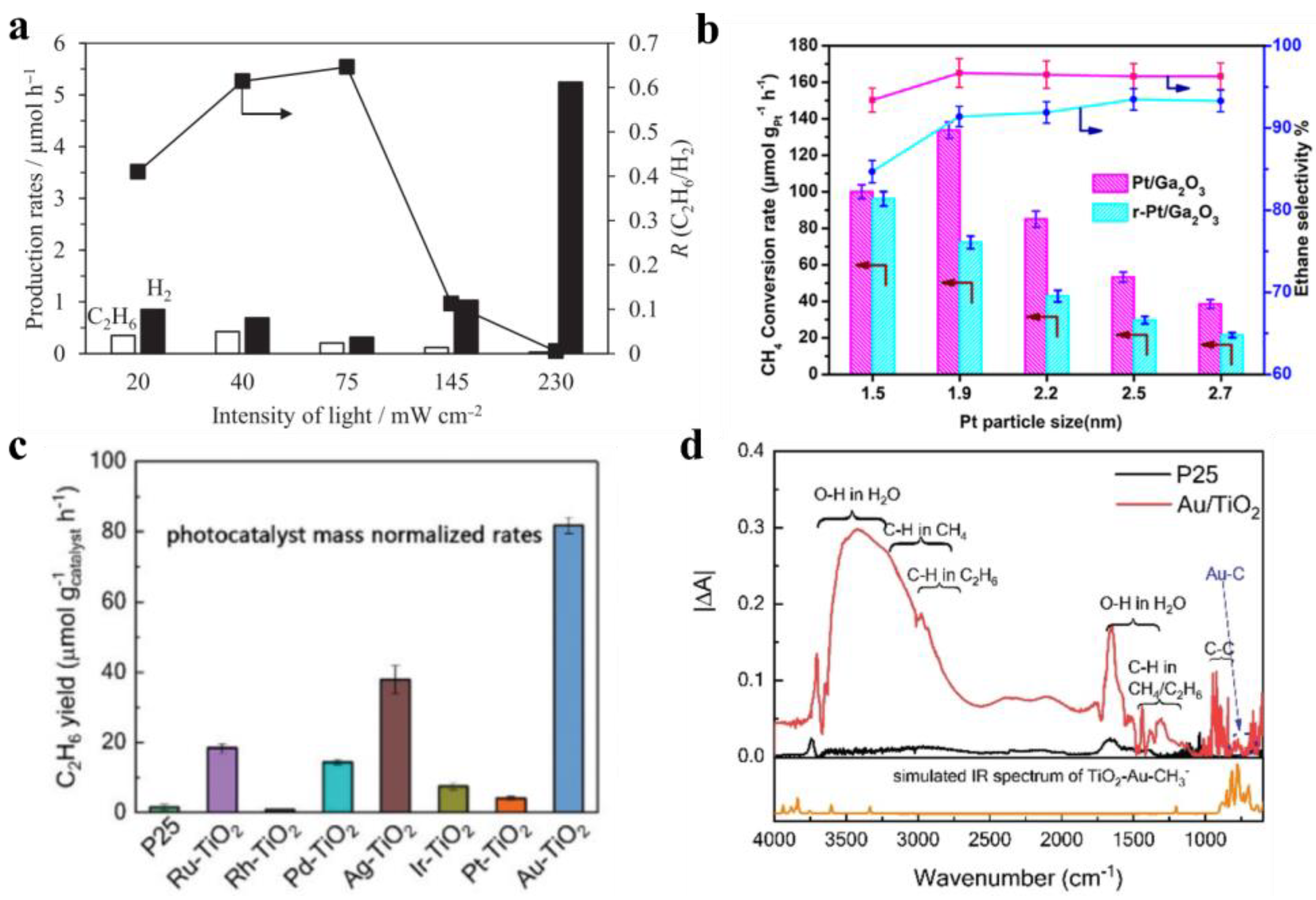 Catalysts 13 00719 g005
