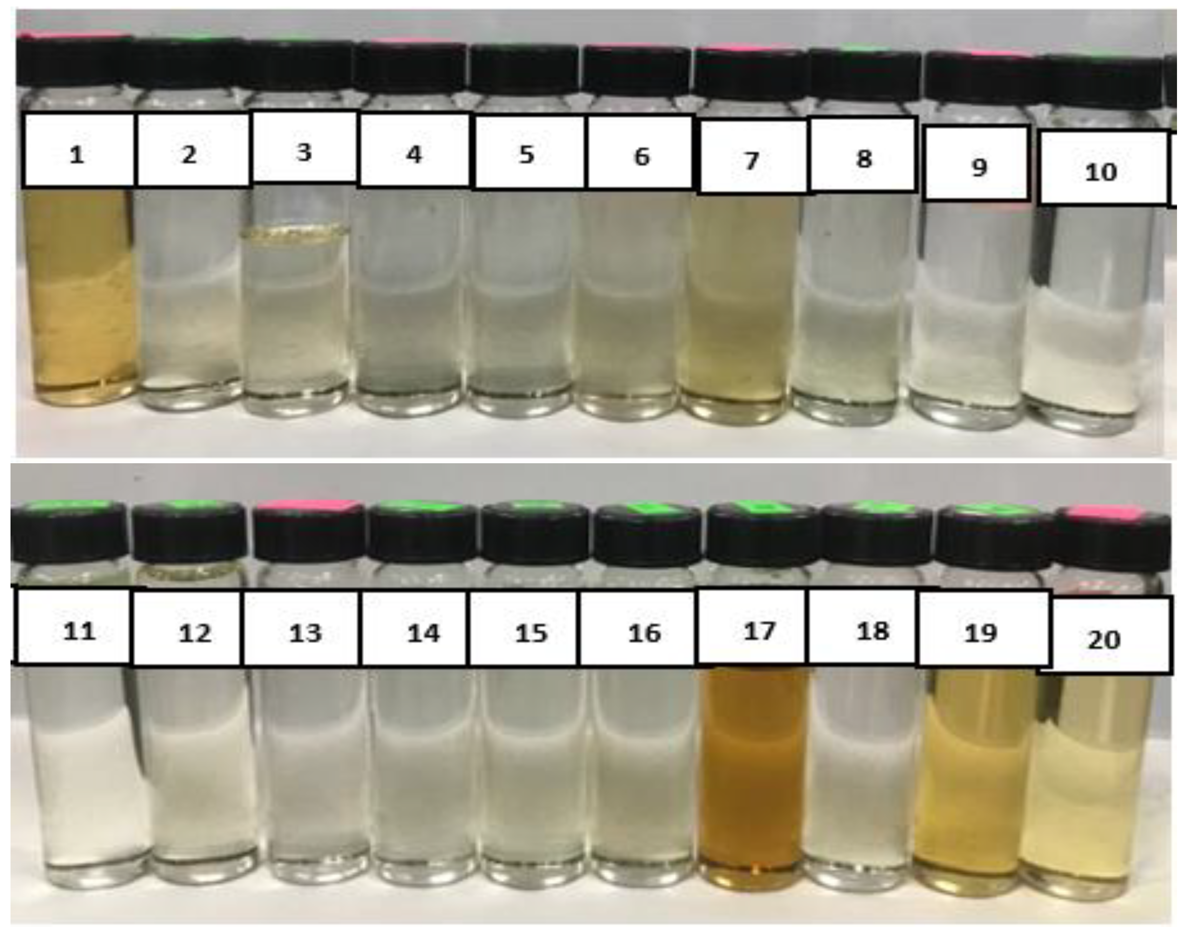 Catalysts 13 00829 g006