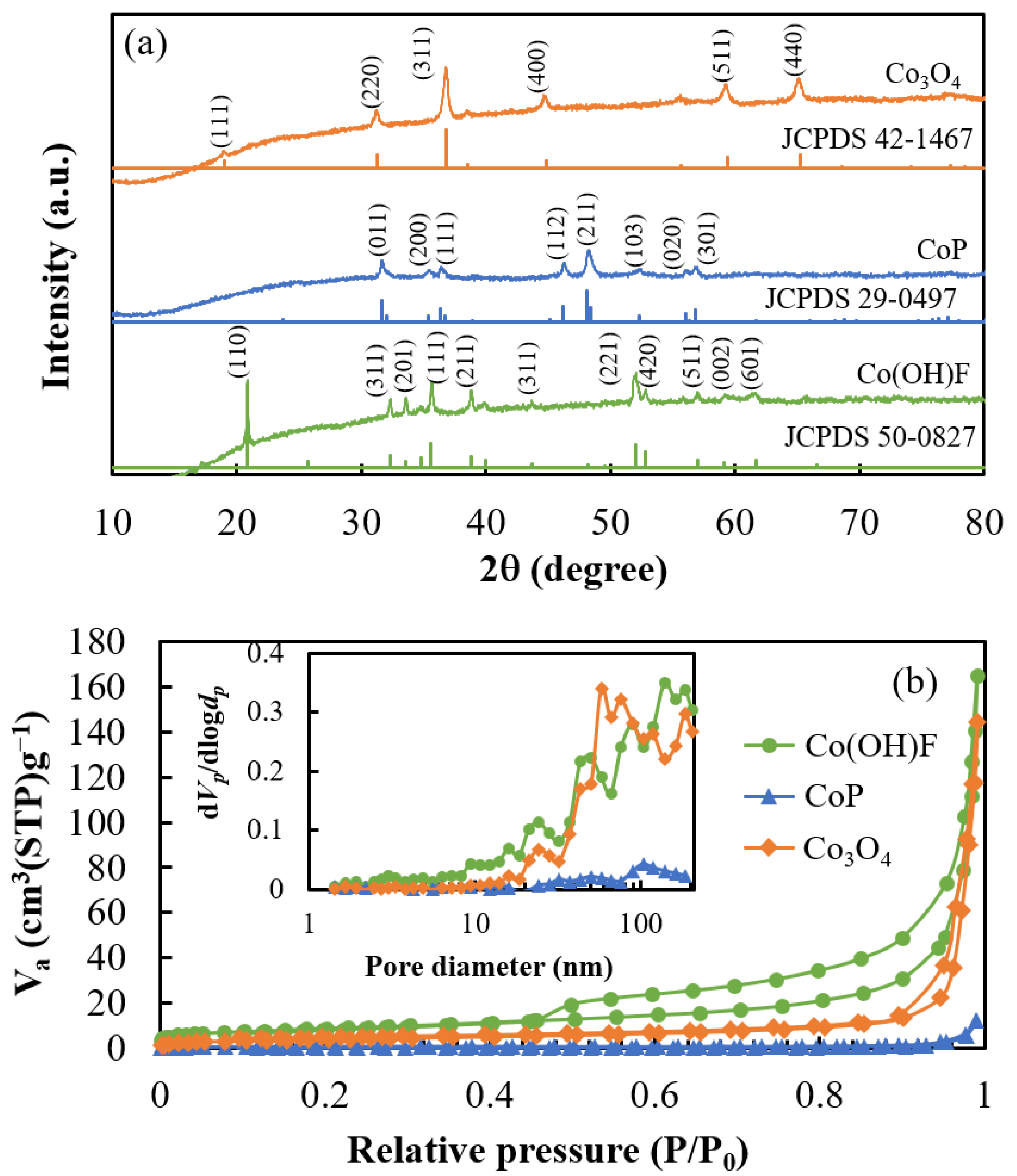 Catalysts 13 00941 g001