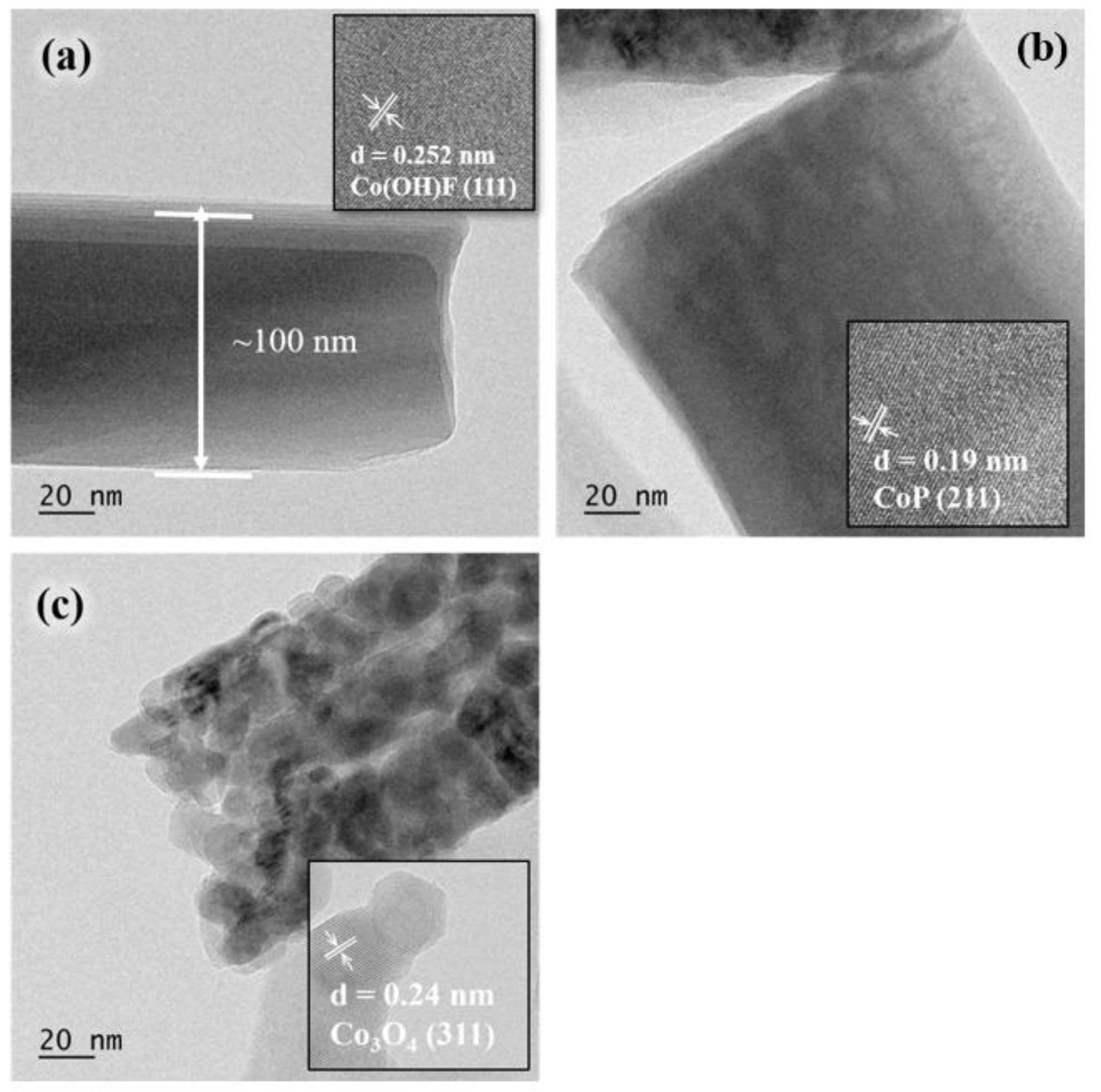 Catalysts 13 00941 g003