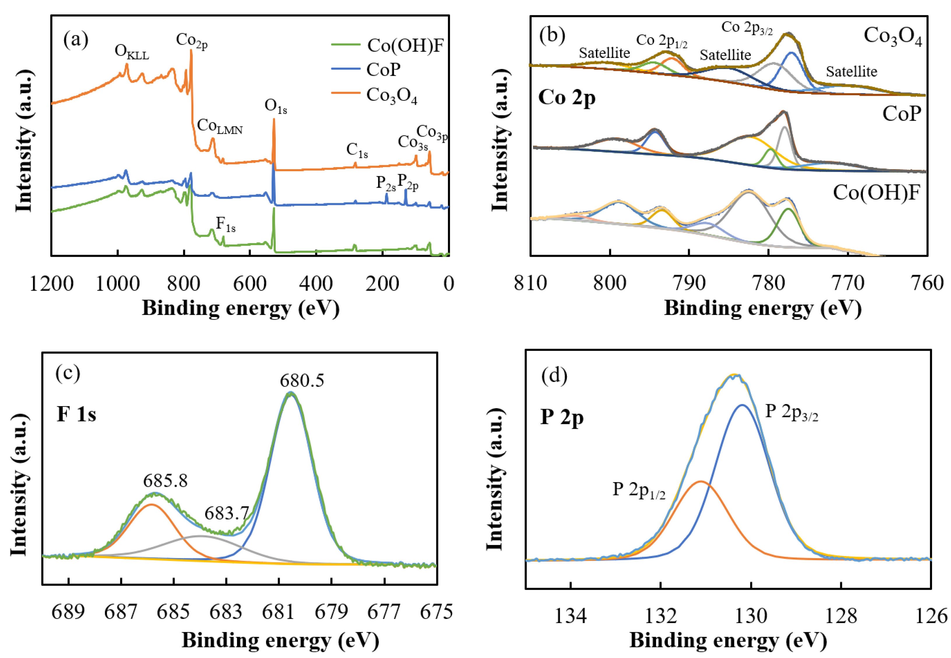 Catalysts 13 00941 g004