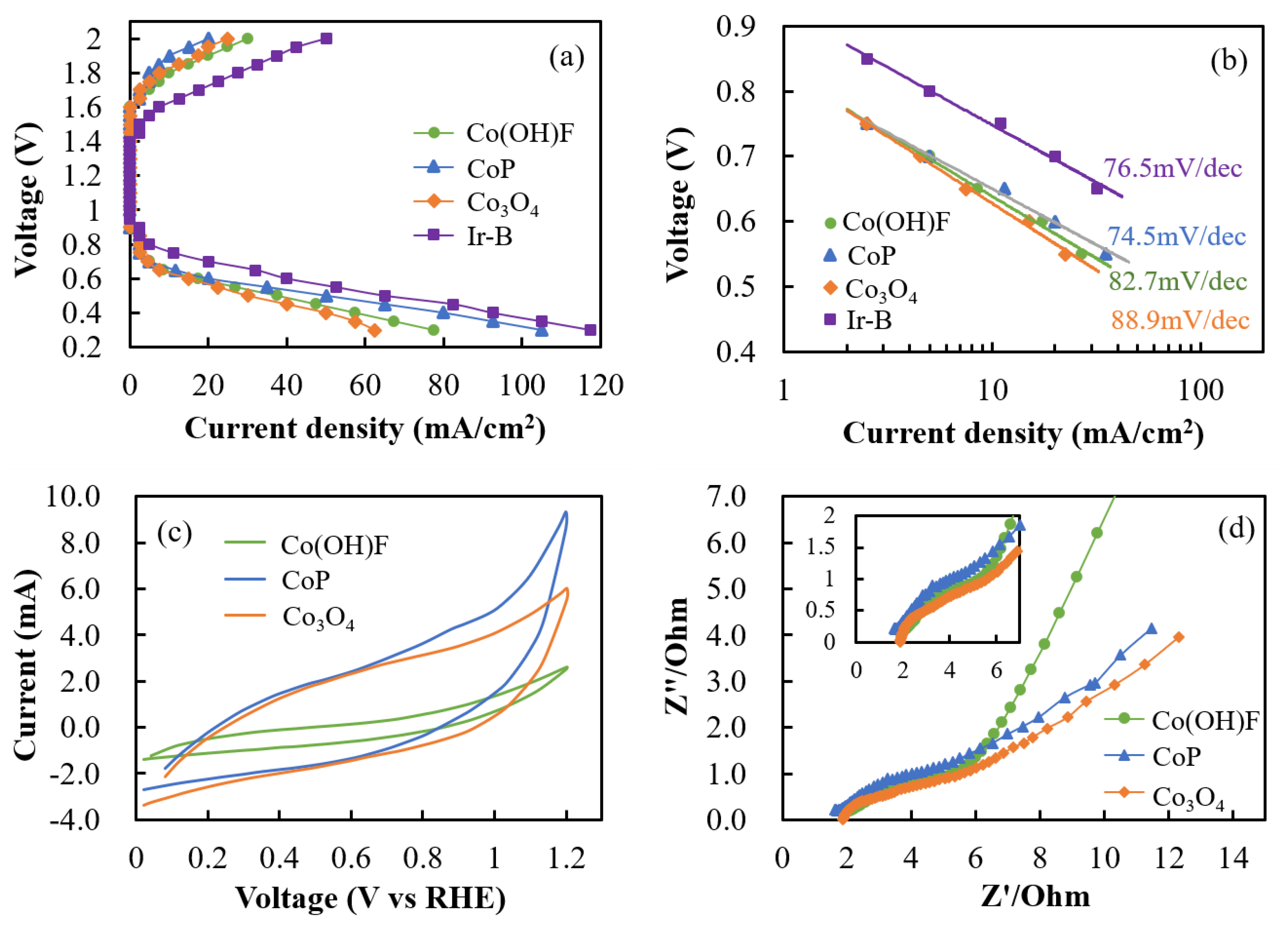 Catalysts 13 00941 g005