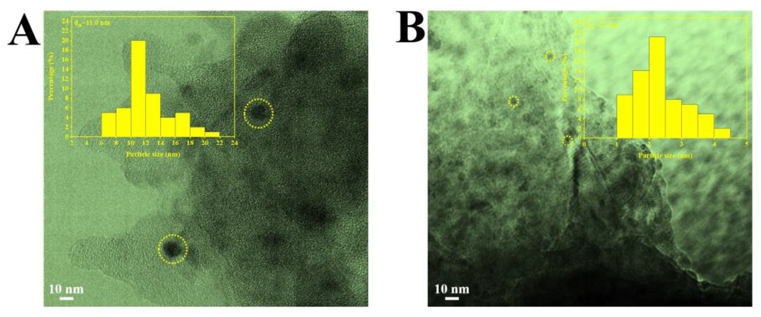 Catalysts 13 01038 g004