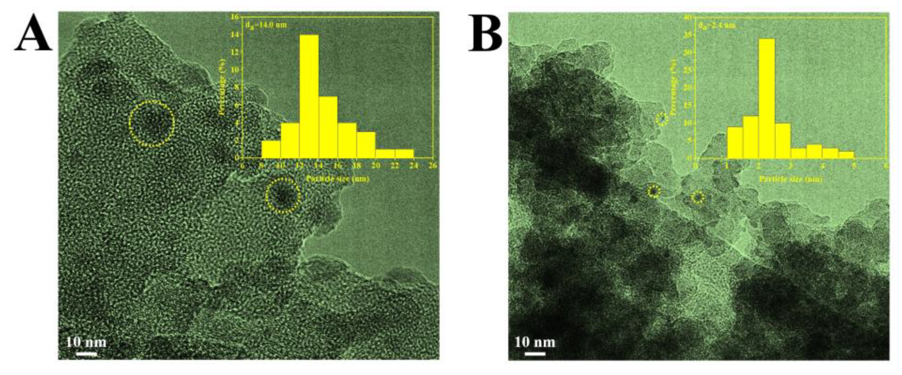 Catalysts 13 01038 g013