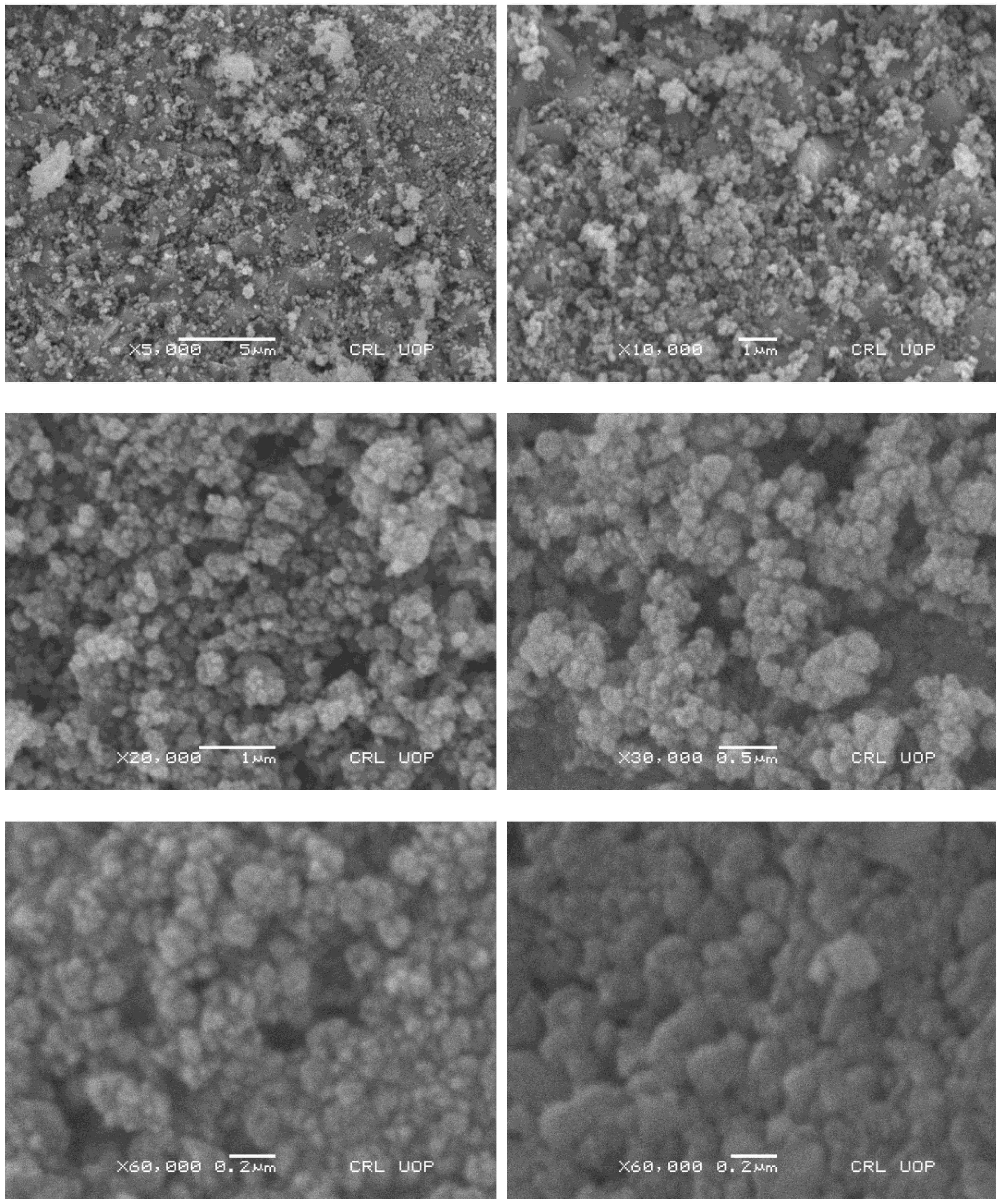 Catalysts 13 01061 g001