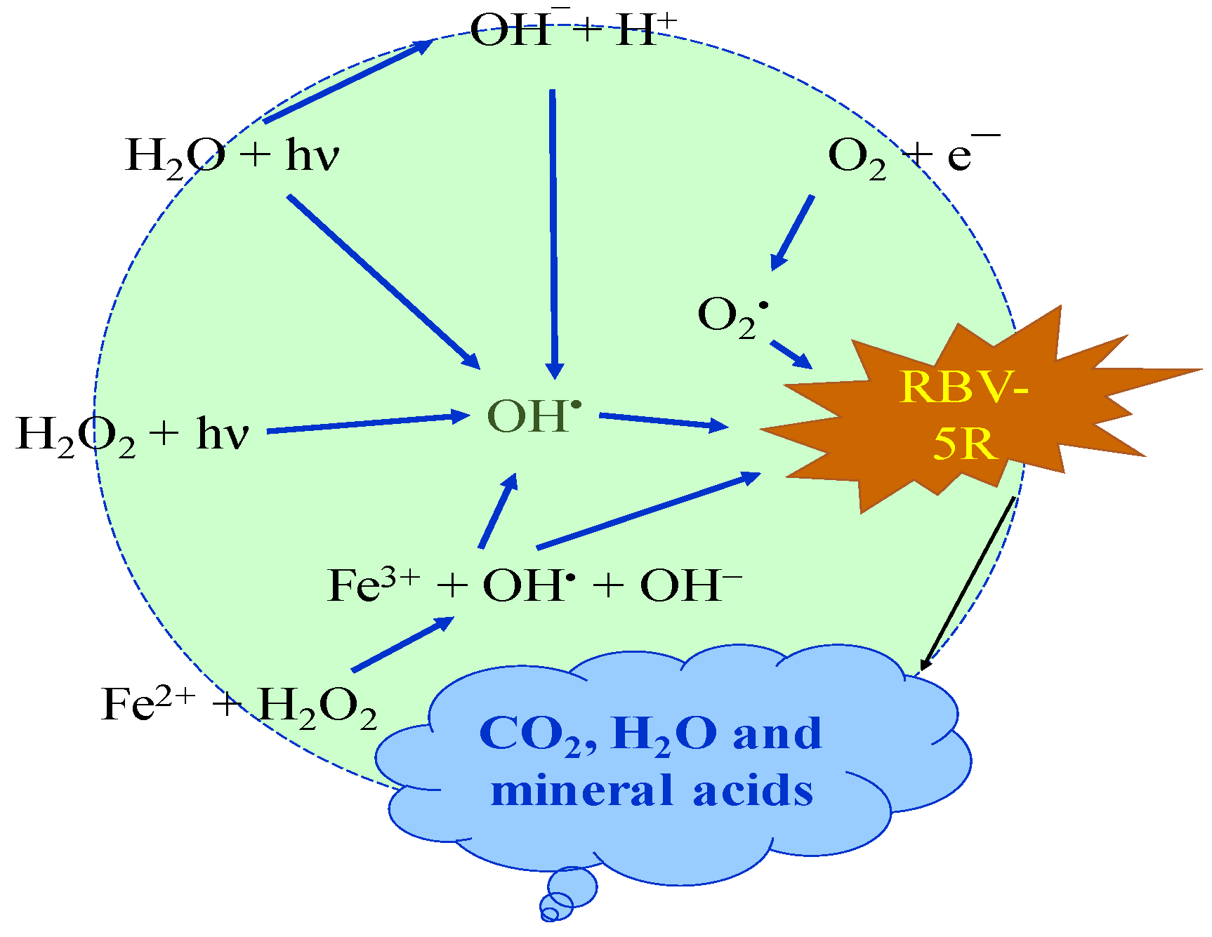 Catalysts 13 01061 g012
