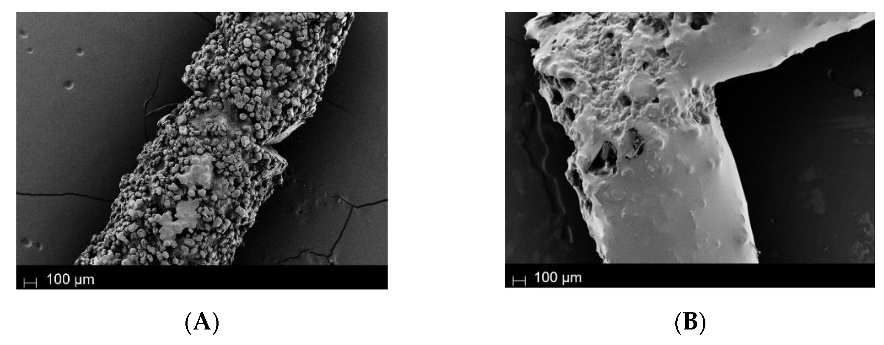 Catalysts 13 01130 g004
