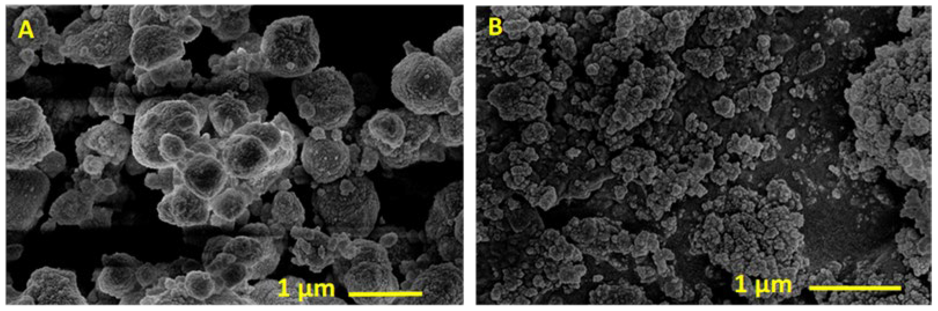 Catalysts 13 01486 g002