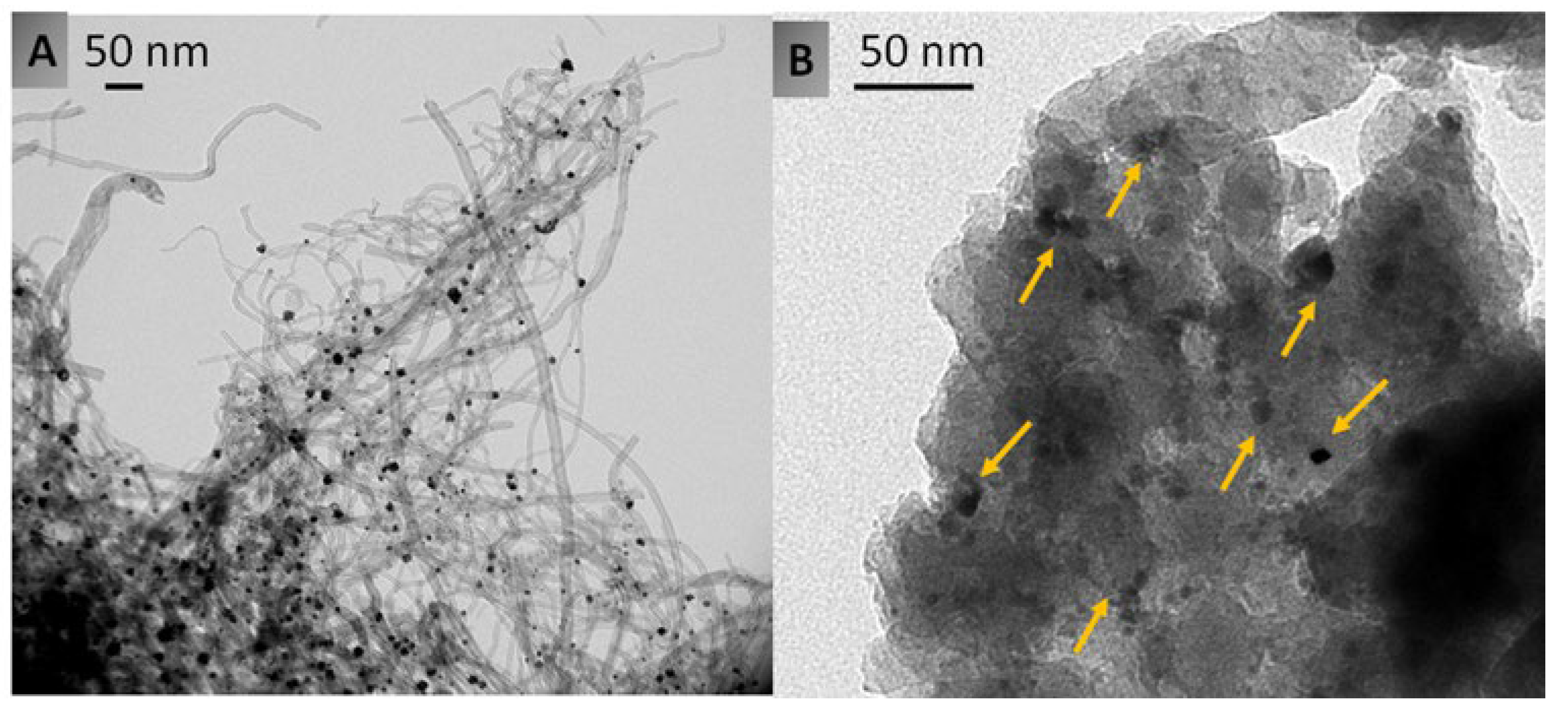 Catalysts 13 01486 g005