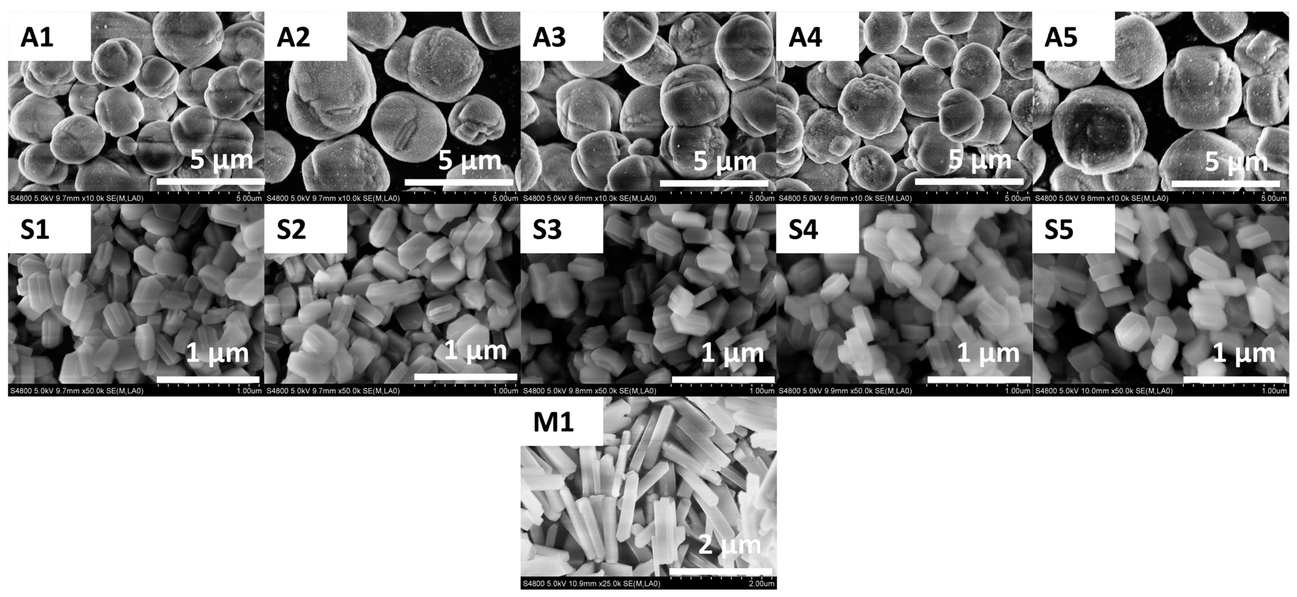 Catalysts 14 00067 g002