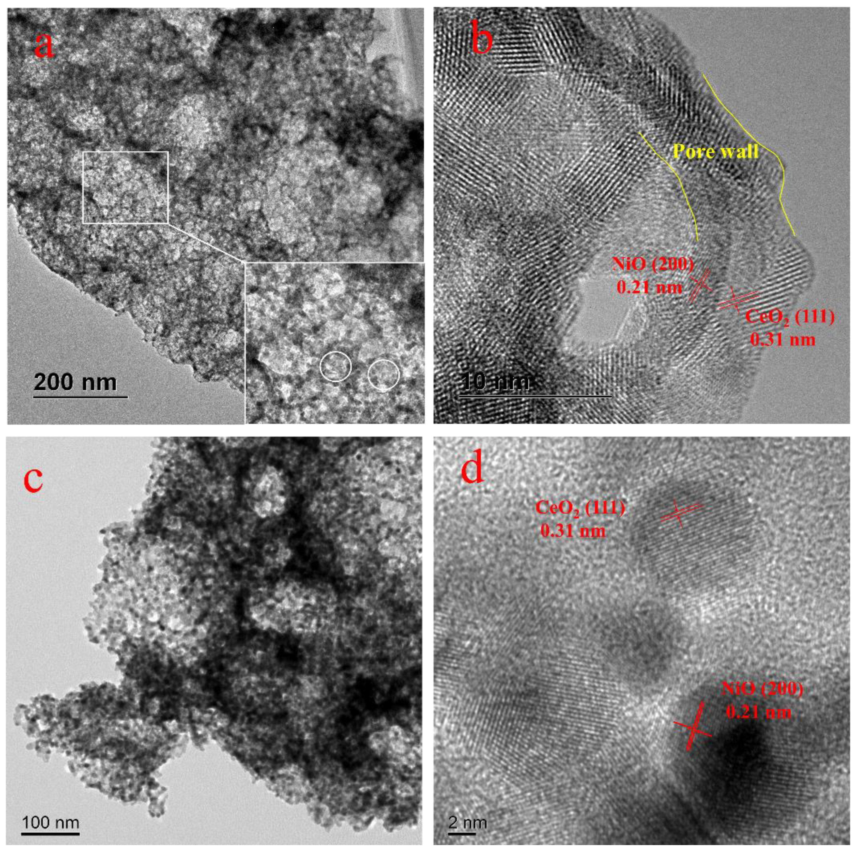 Catalysts 14 00291 g003