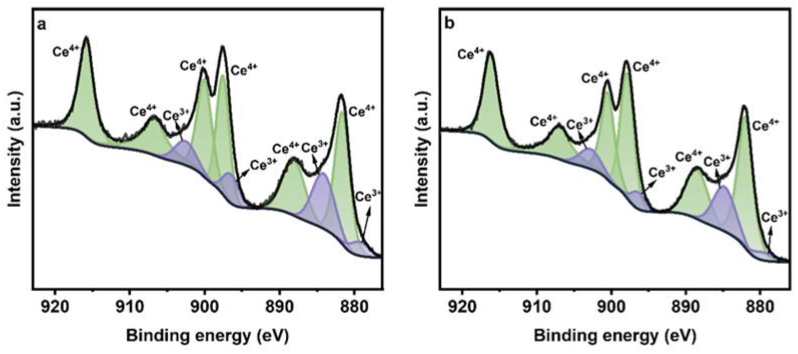Catalysts 14 00291 g005