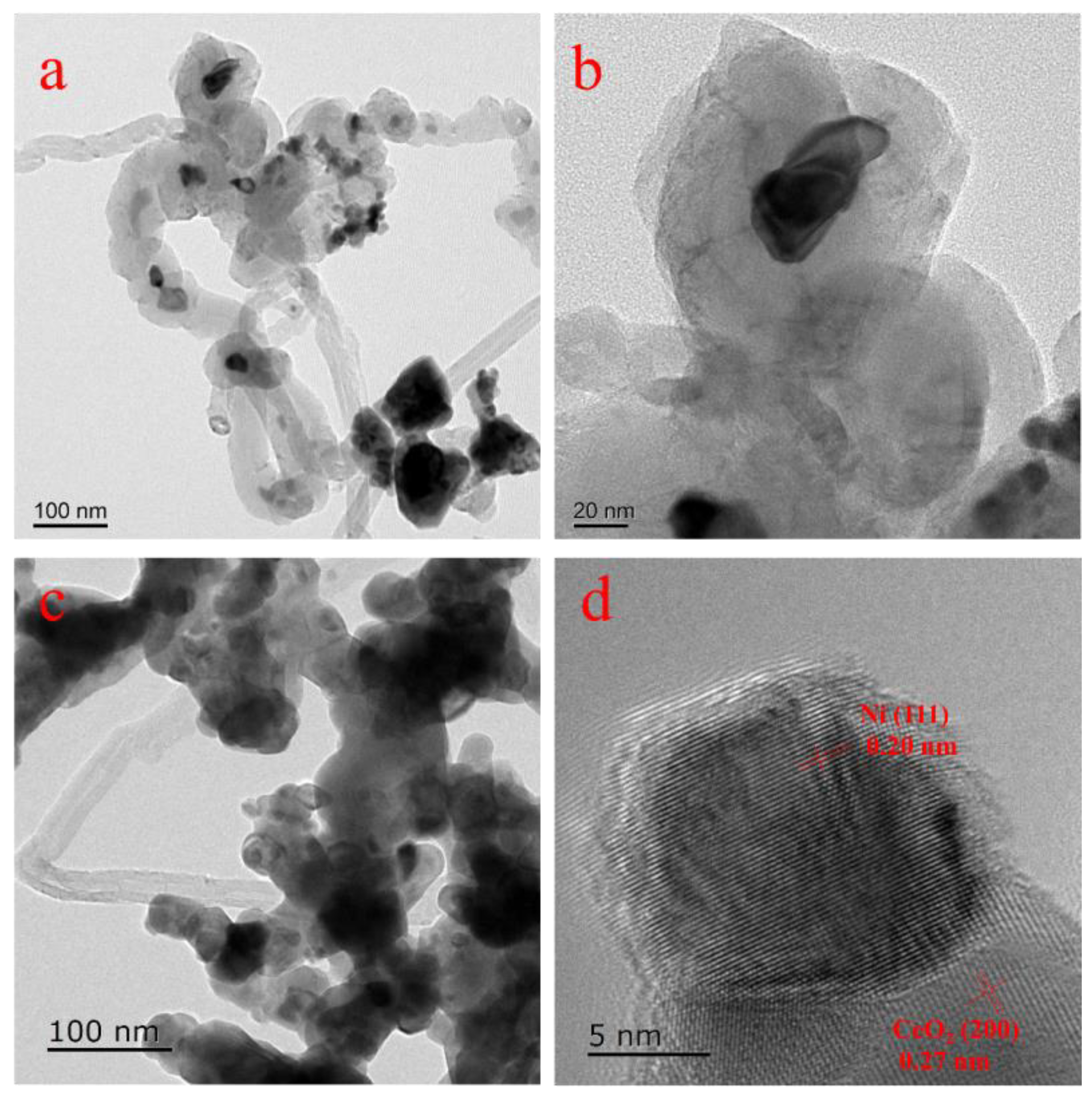 Catalysts 14 00291 g007