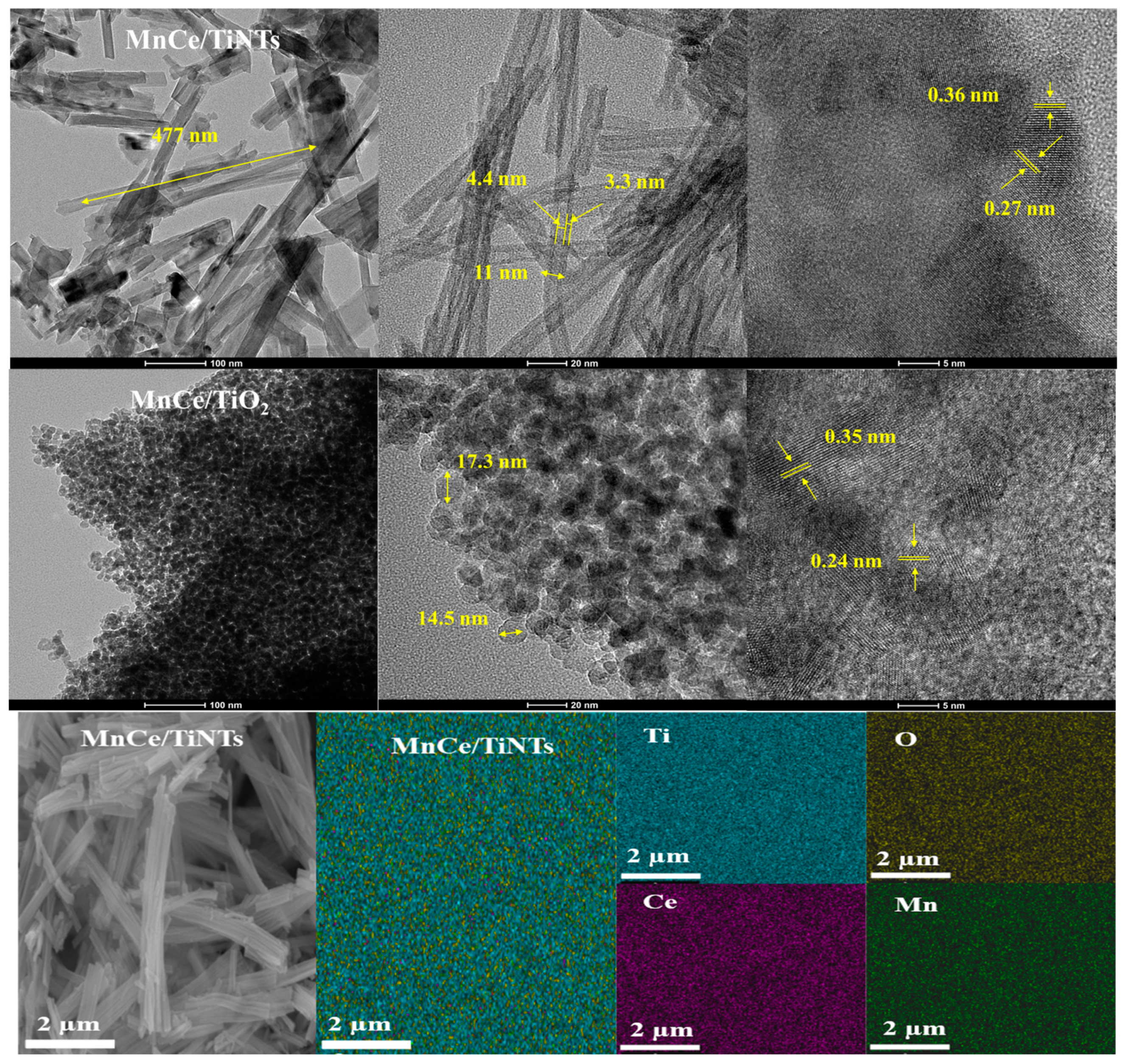 Catalysts 14 00306 g003a